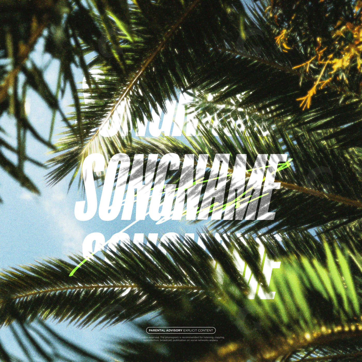 Palm Trees Album Cover
