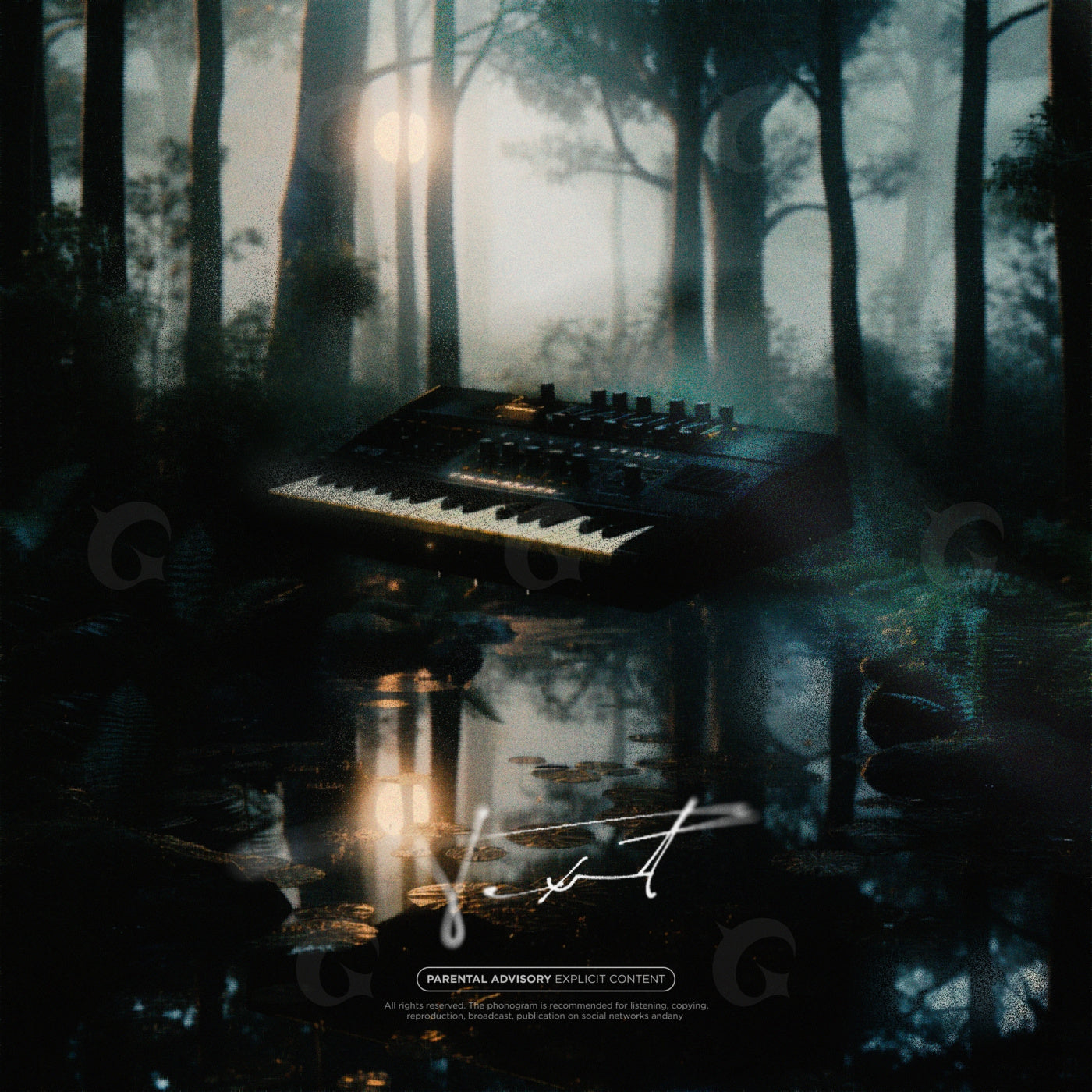 Synthesizer in moonlight