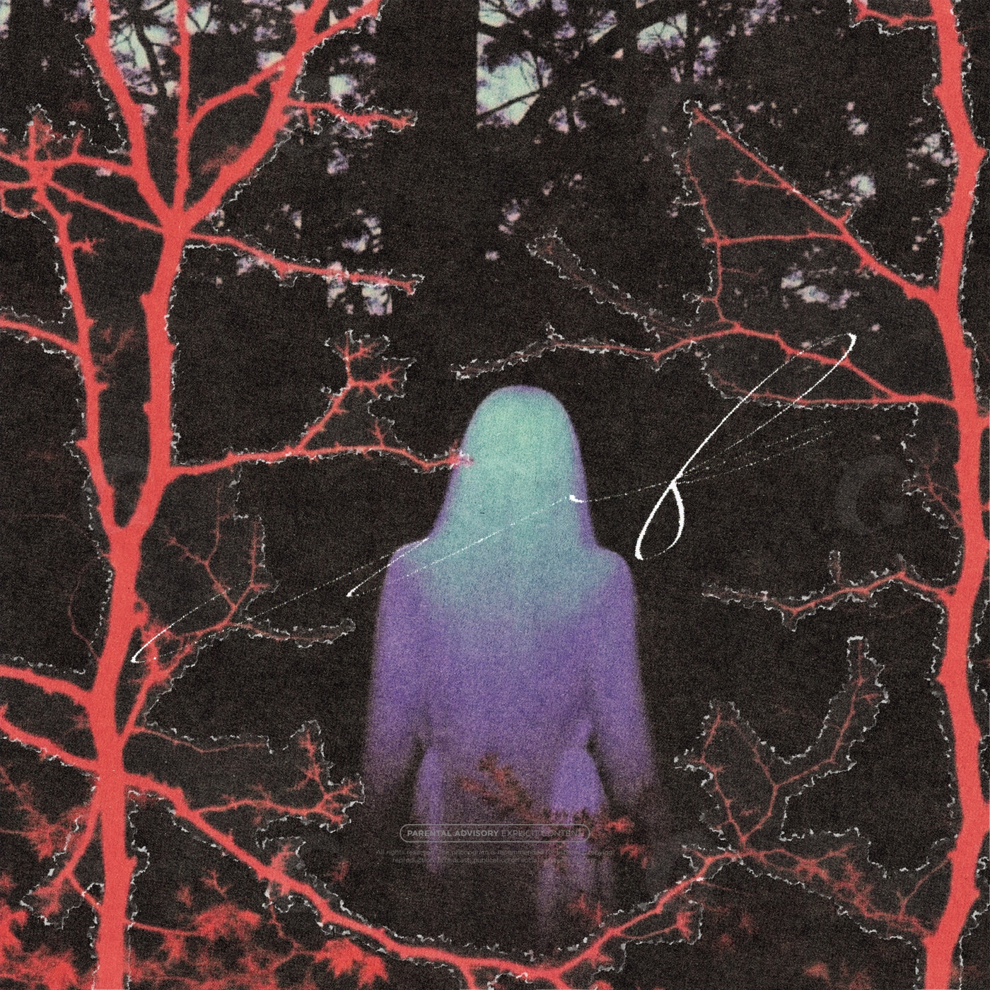 Silhouette among trees