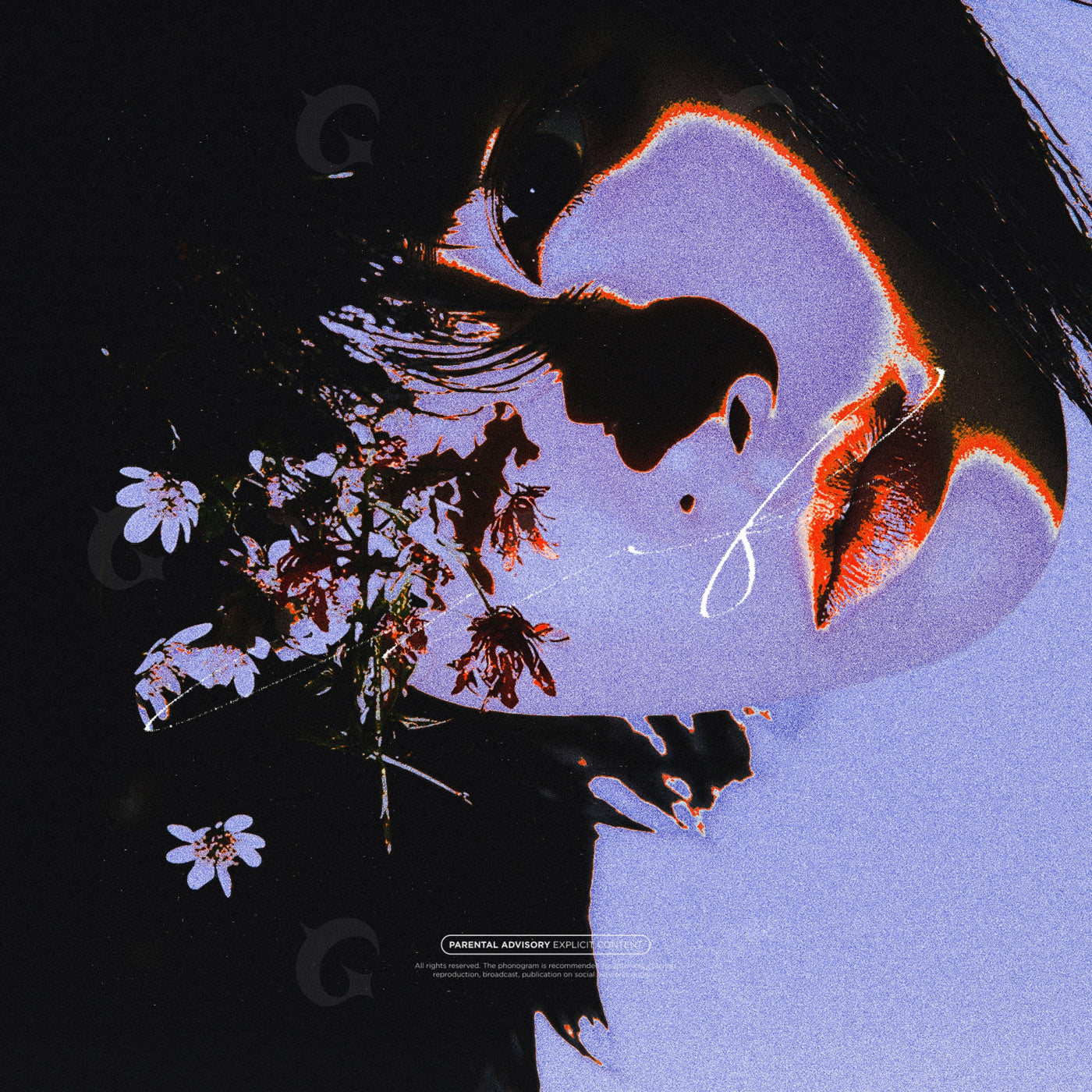 Petal shadow kiss