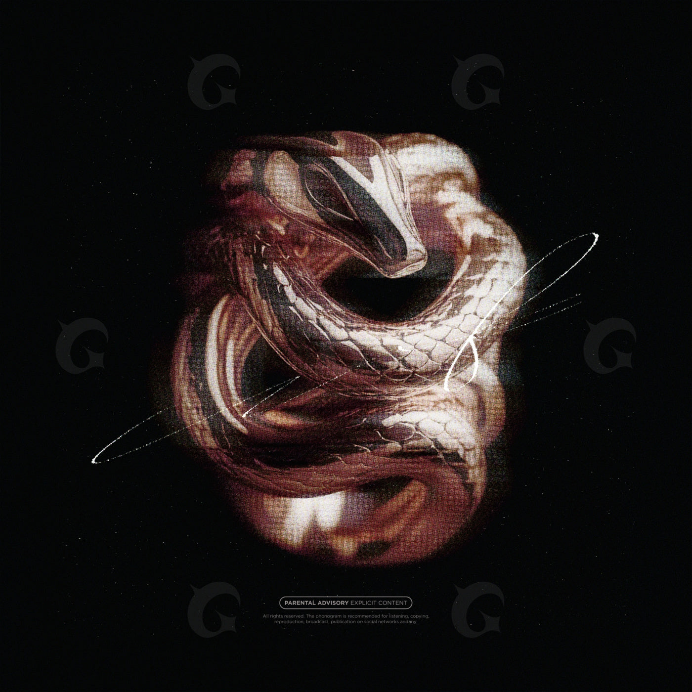 Serpent orbiting skull