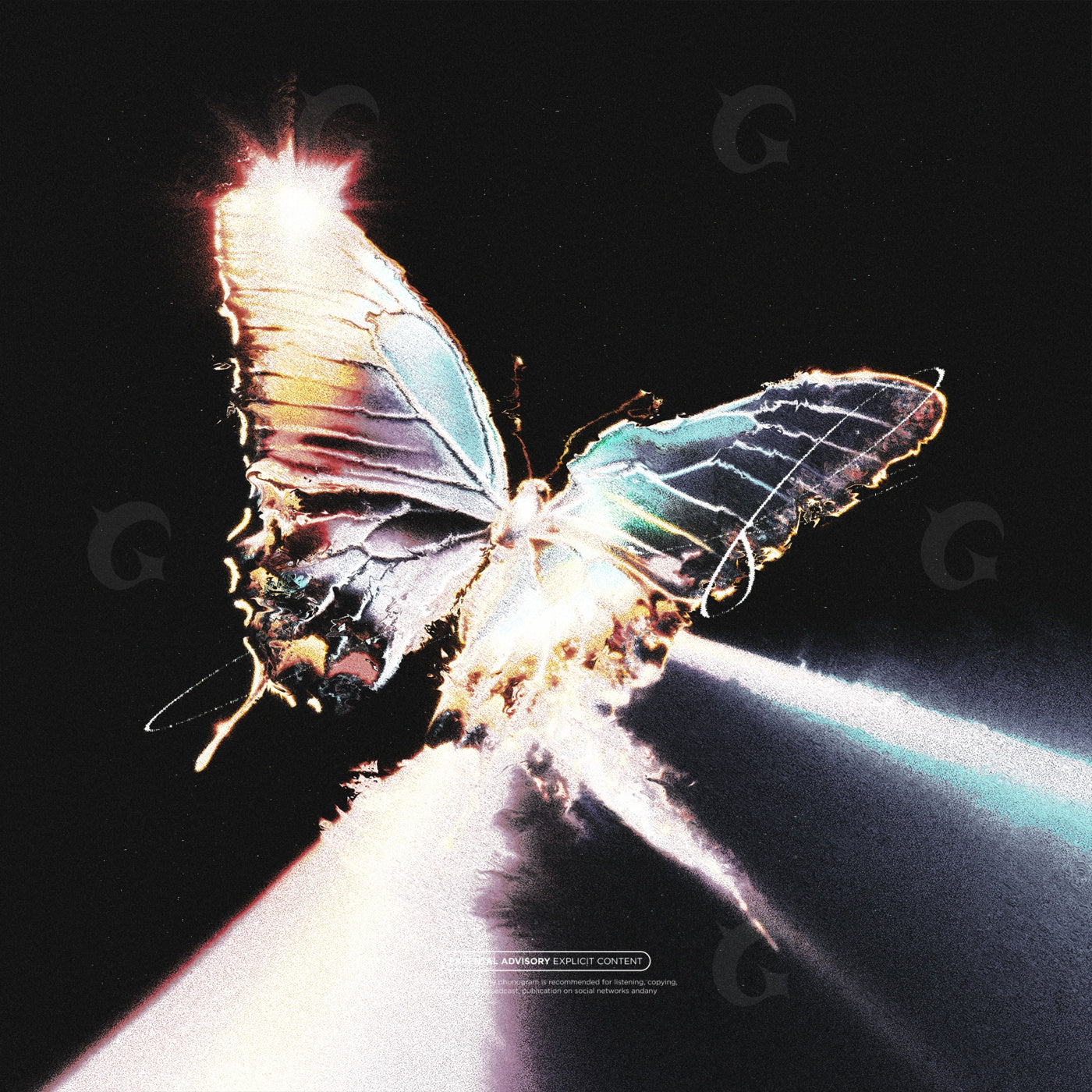 Radiant butterfly taking flight