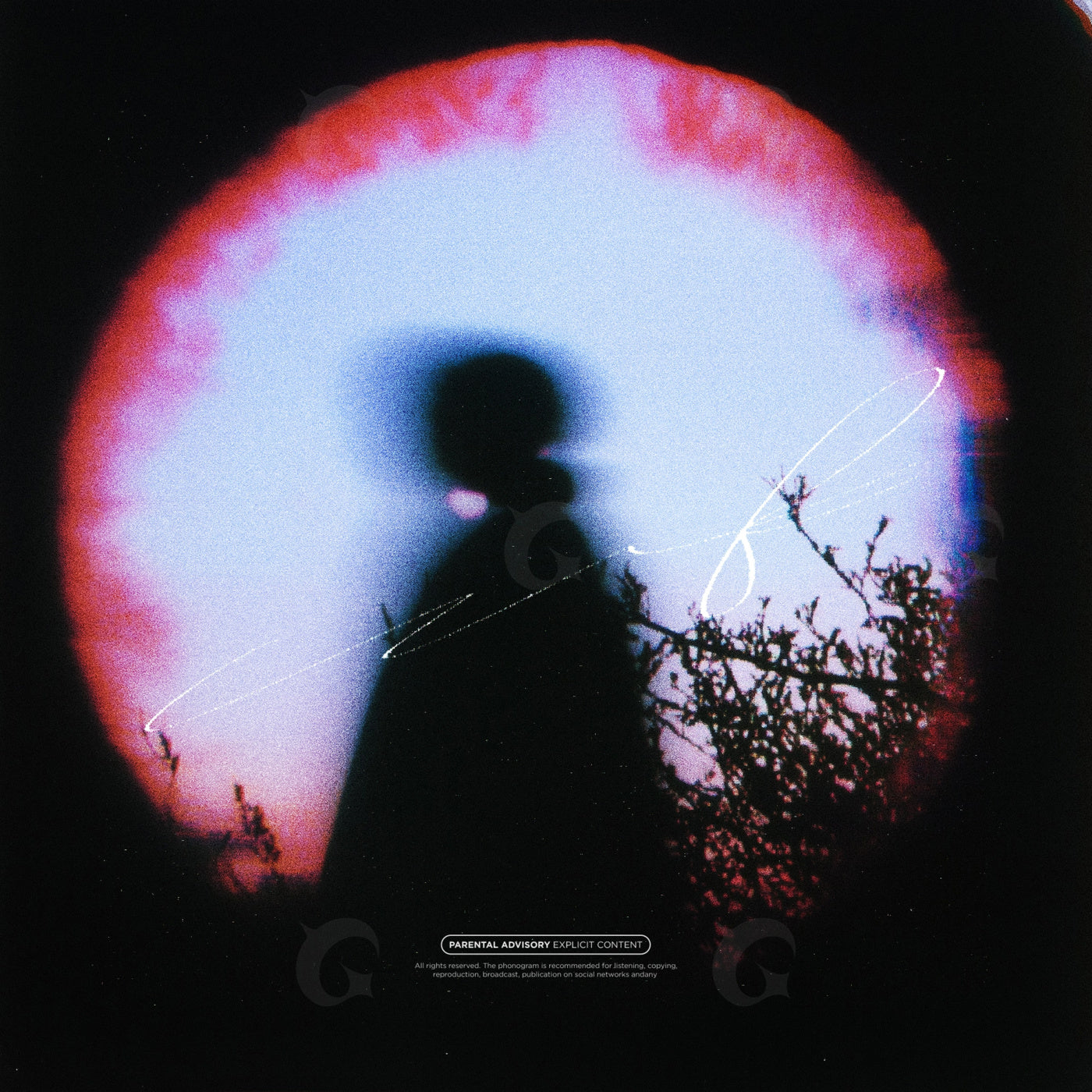 Silhouette beside bushes