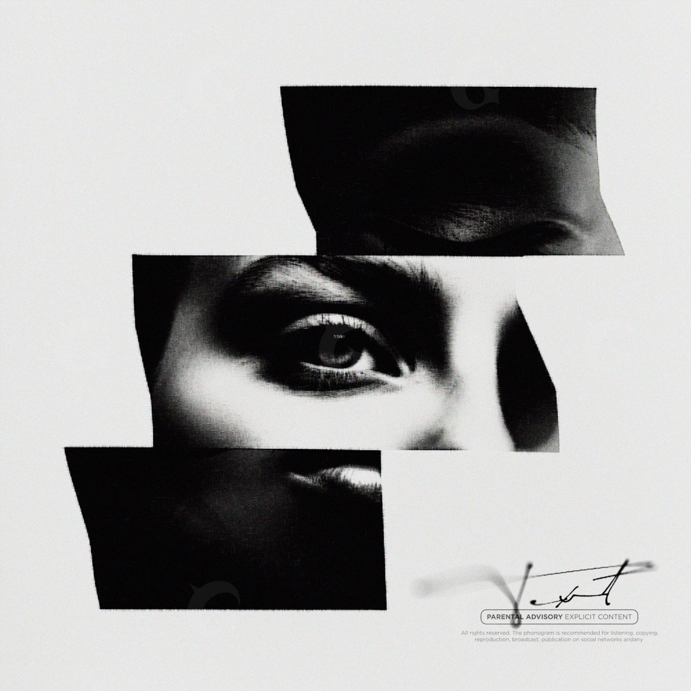 Fragmented gaze portrait