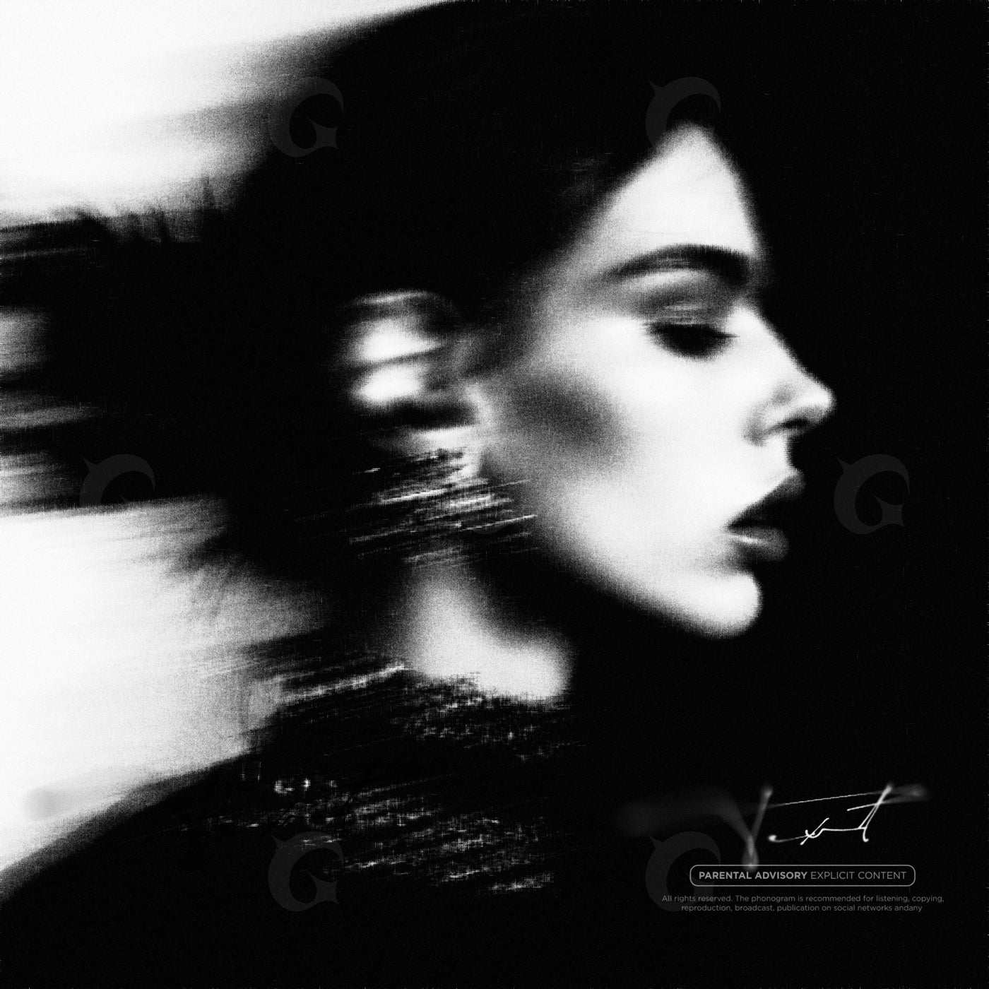 Fleeting silhouette portrait