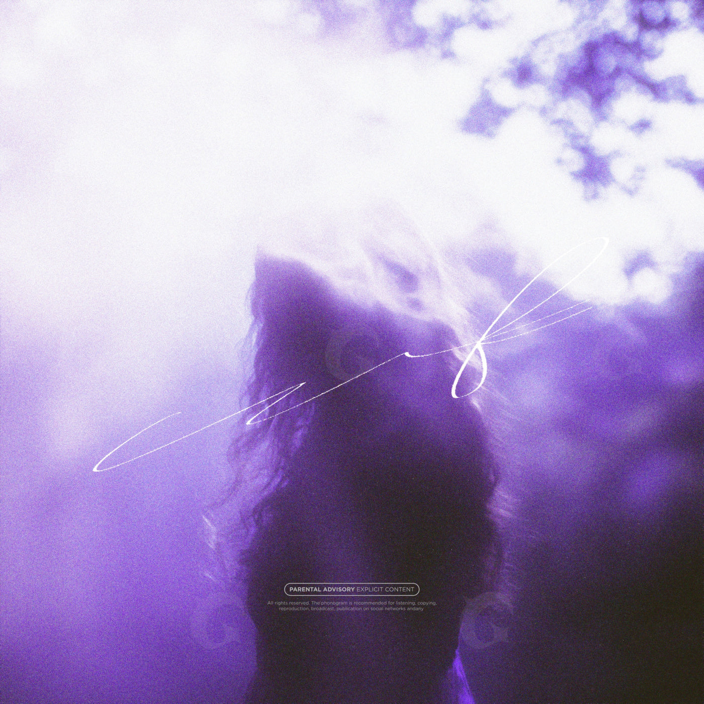 Silhouette beneath bright sky