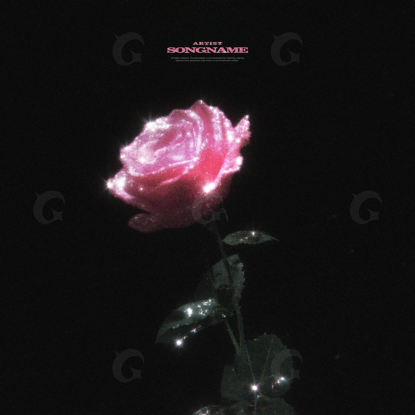 Sparkling rose at midnight