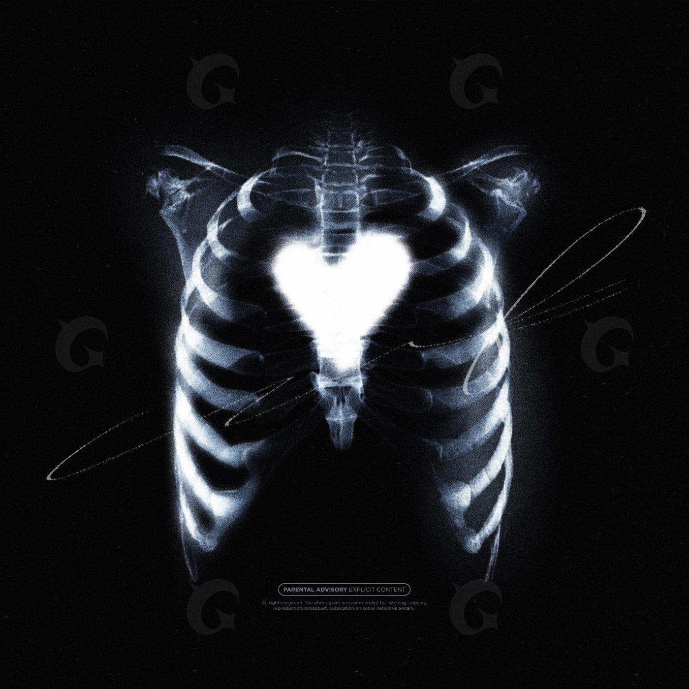Heart within ribs