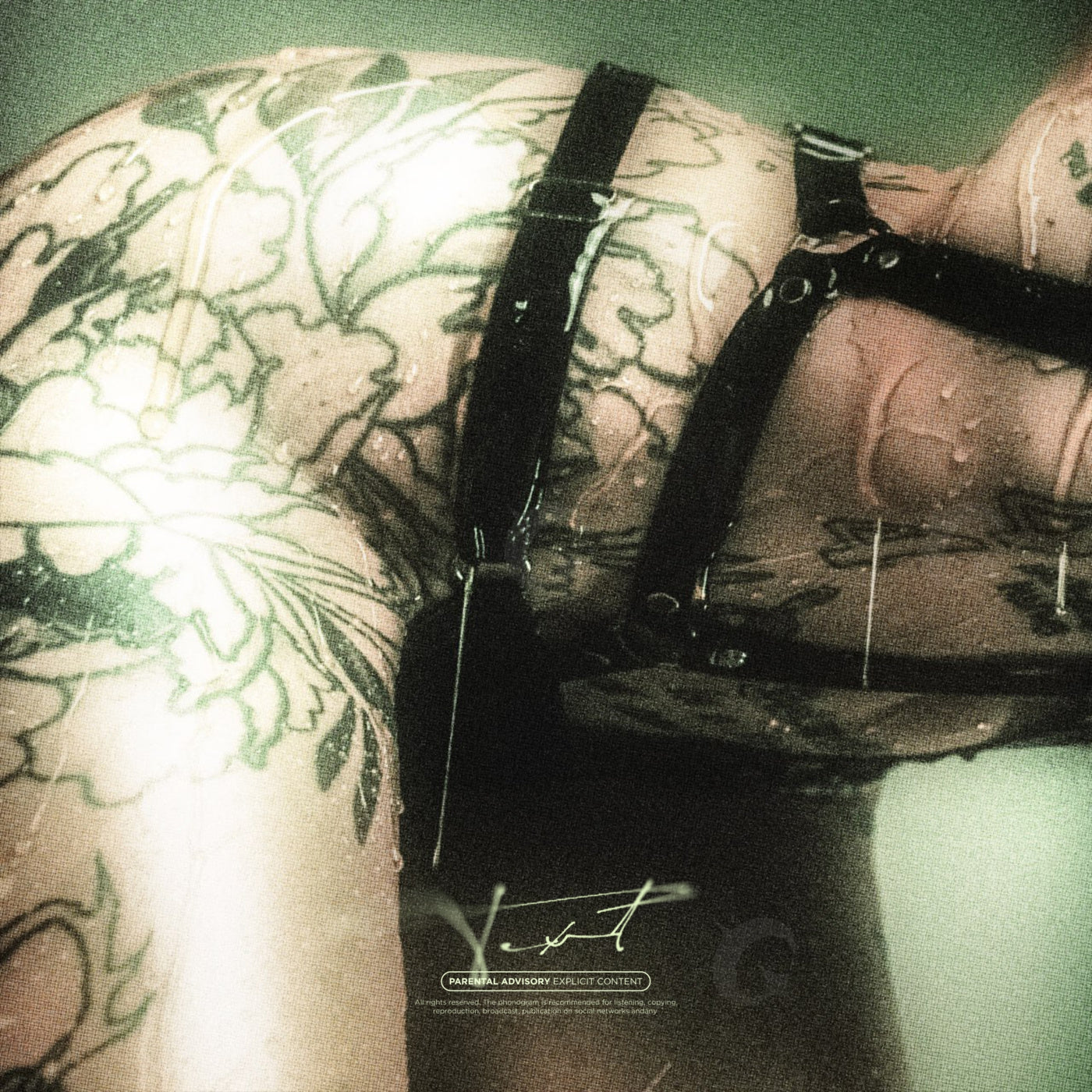 Strapped tattooed torso