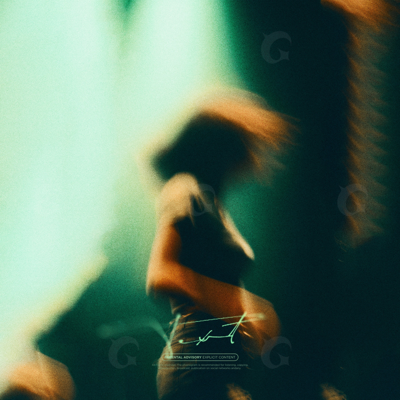 Dancer in motion