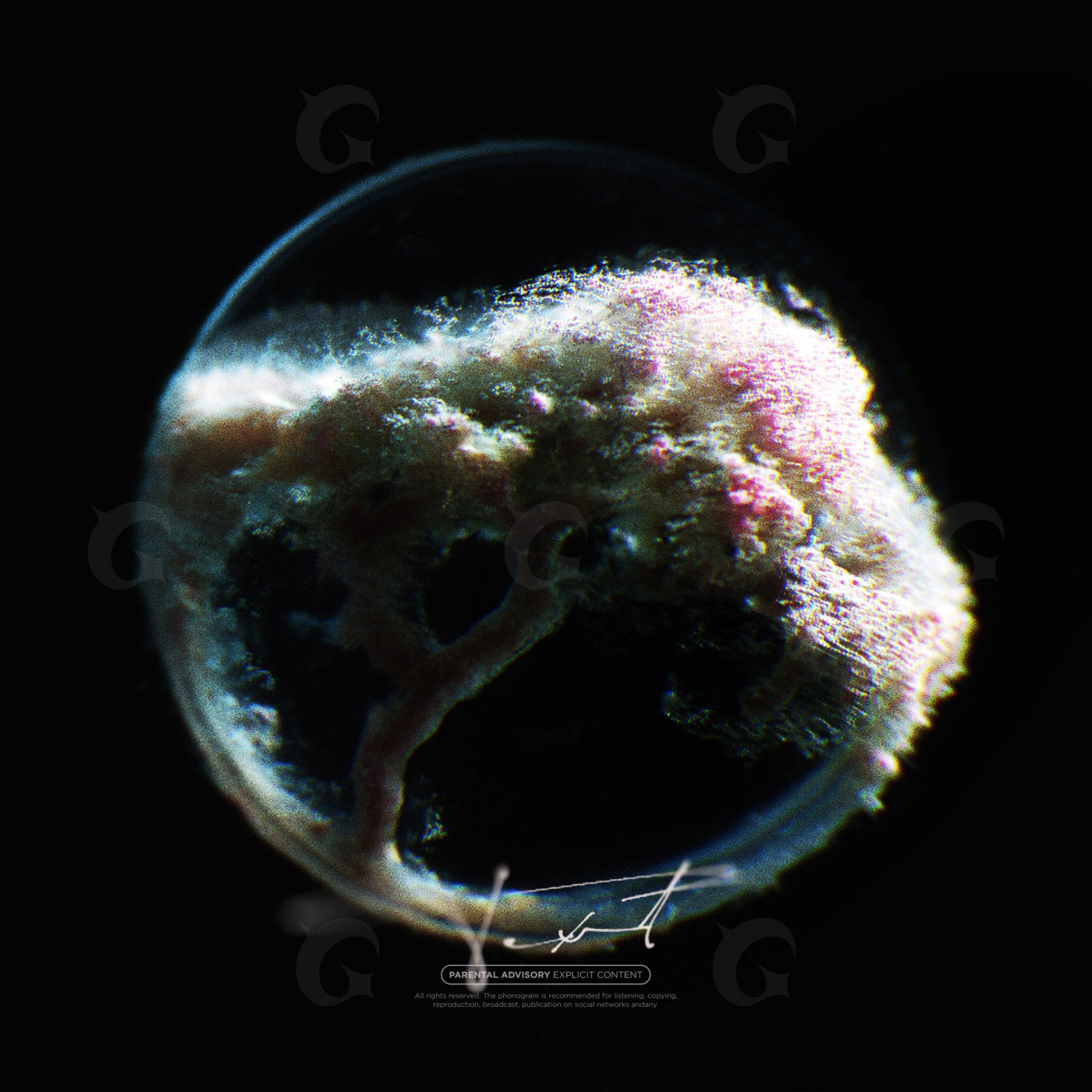 Orbital fungal bloom