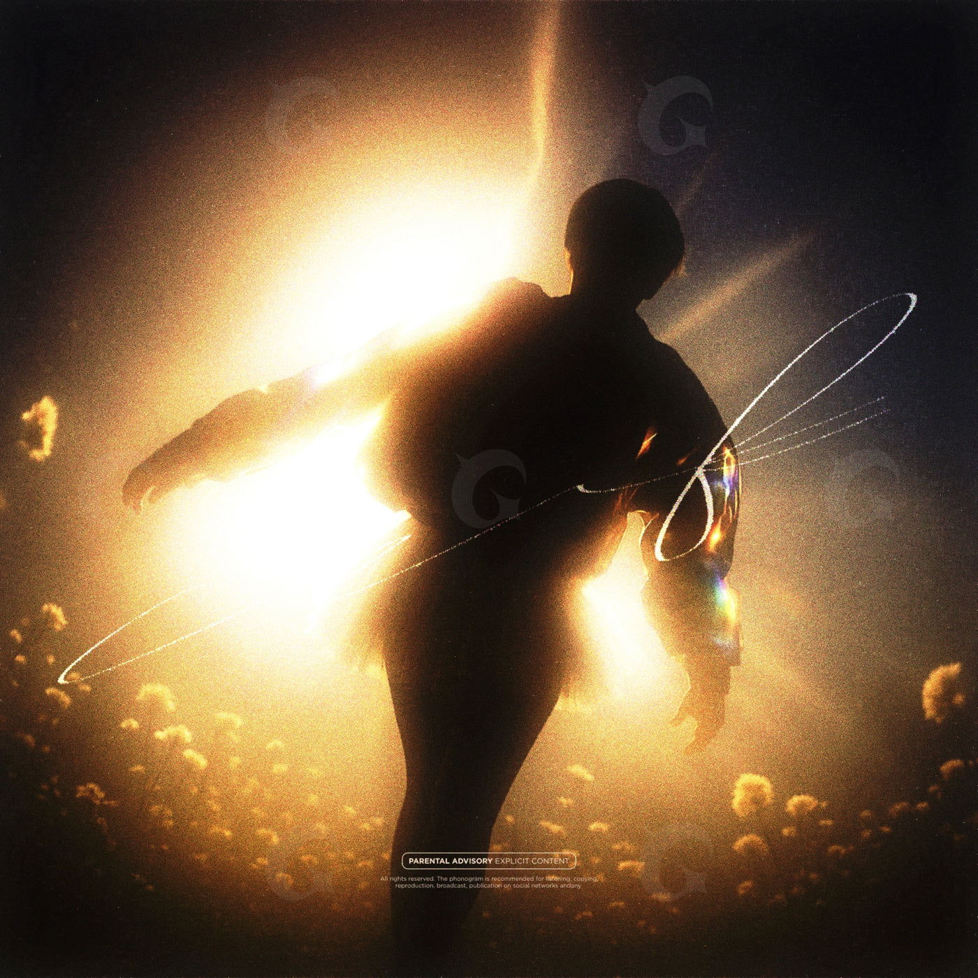 Silhouette among flowers