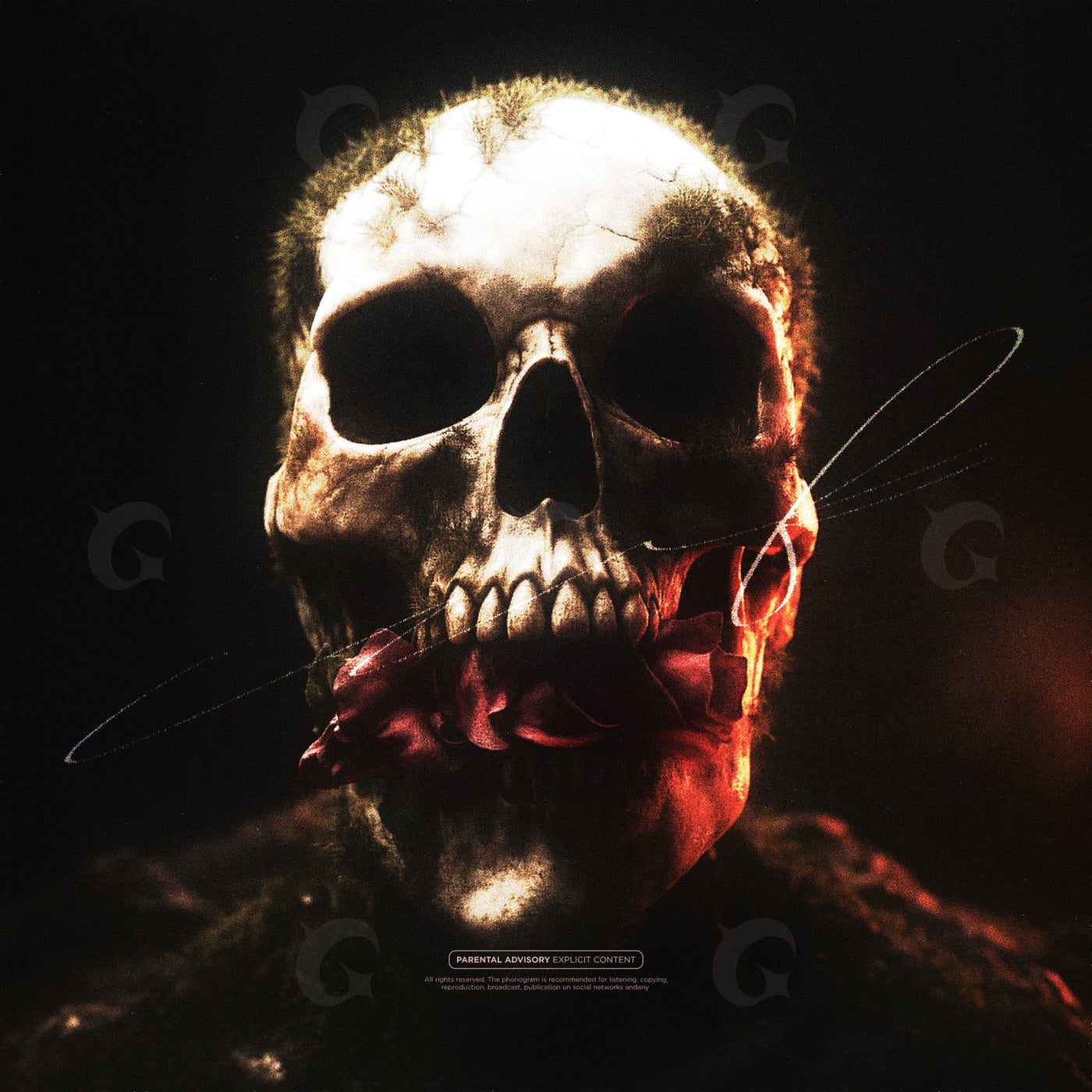 Skull holding rose