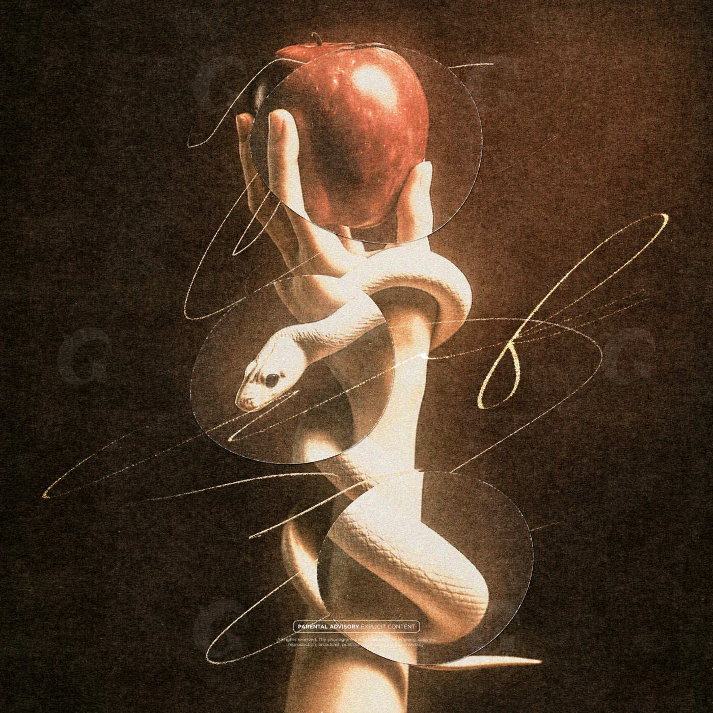 Hand holding apple