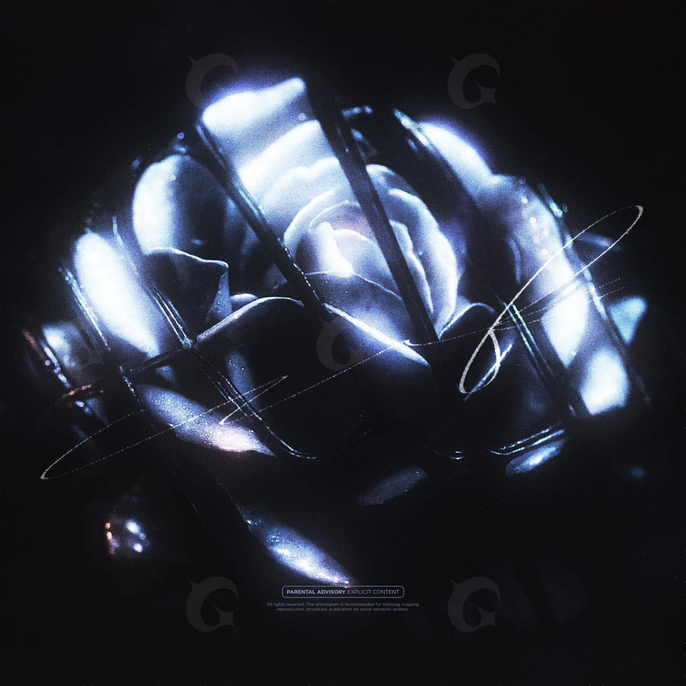 Caged neon rose