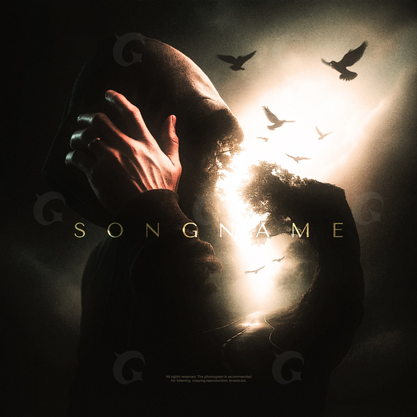 Shadowed neon skyline