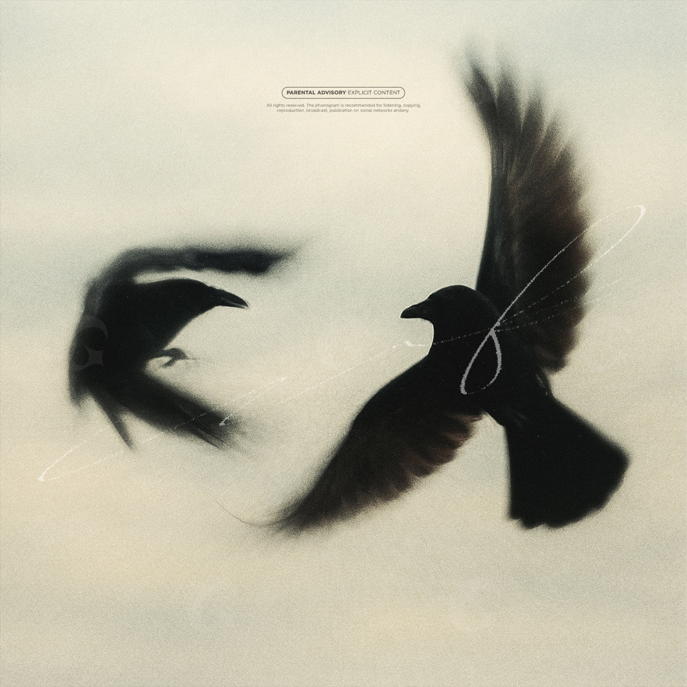 Ravens in flight