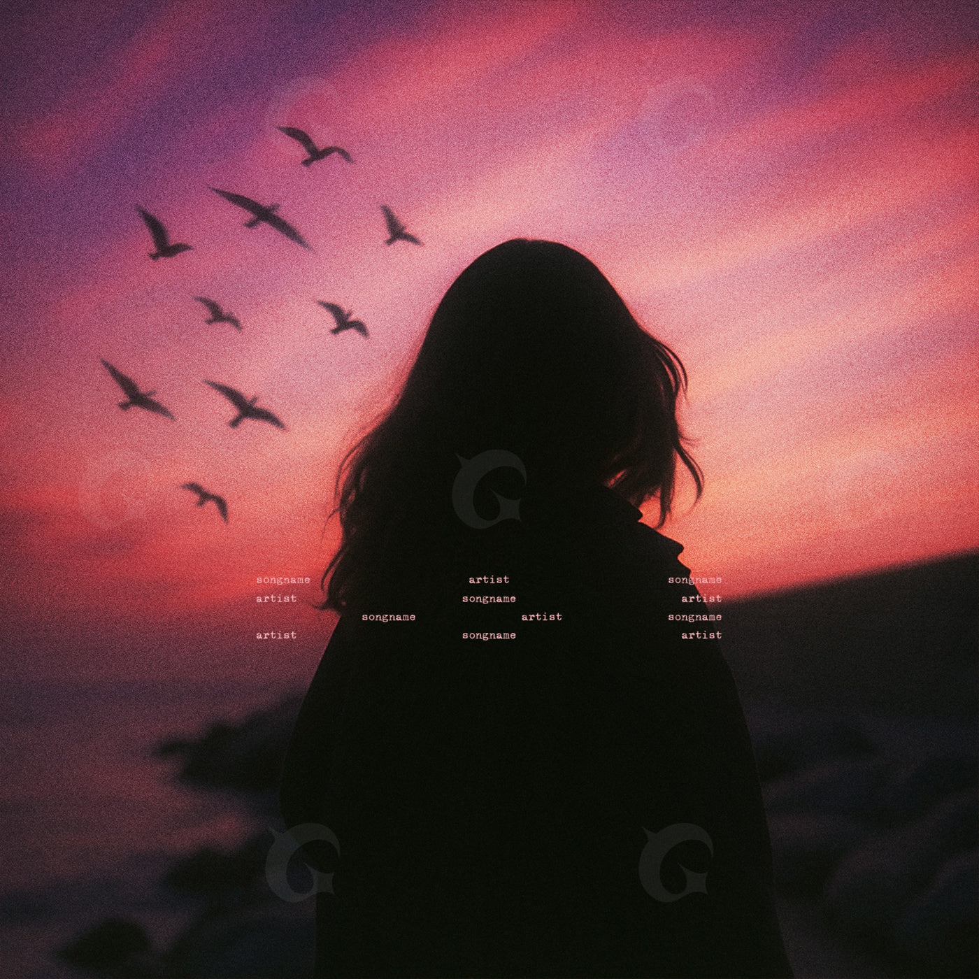Silhouette and birds