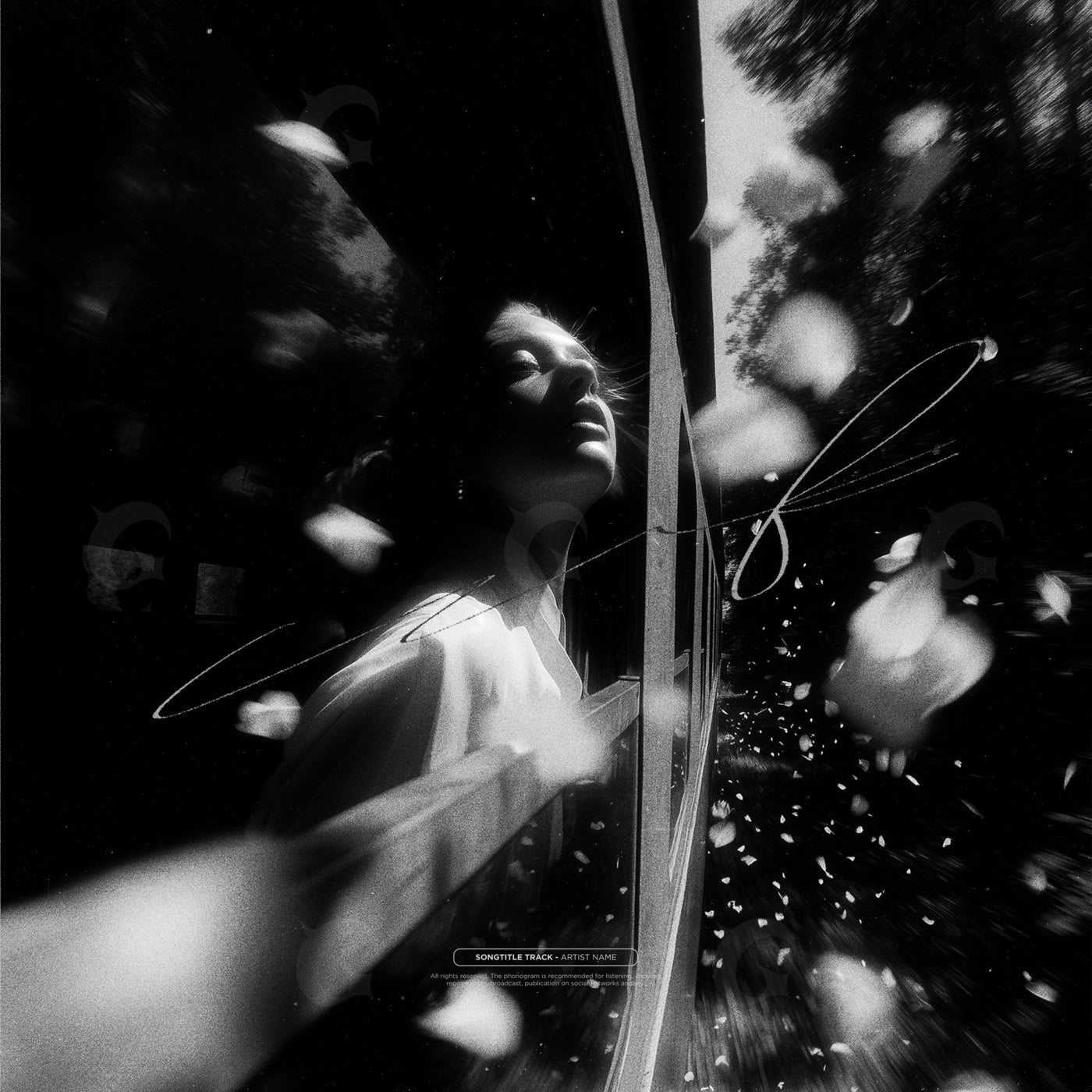 Window of petals