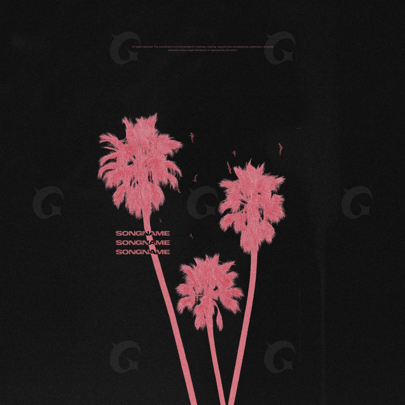 Palm trees at night