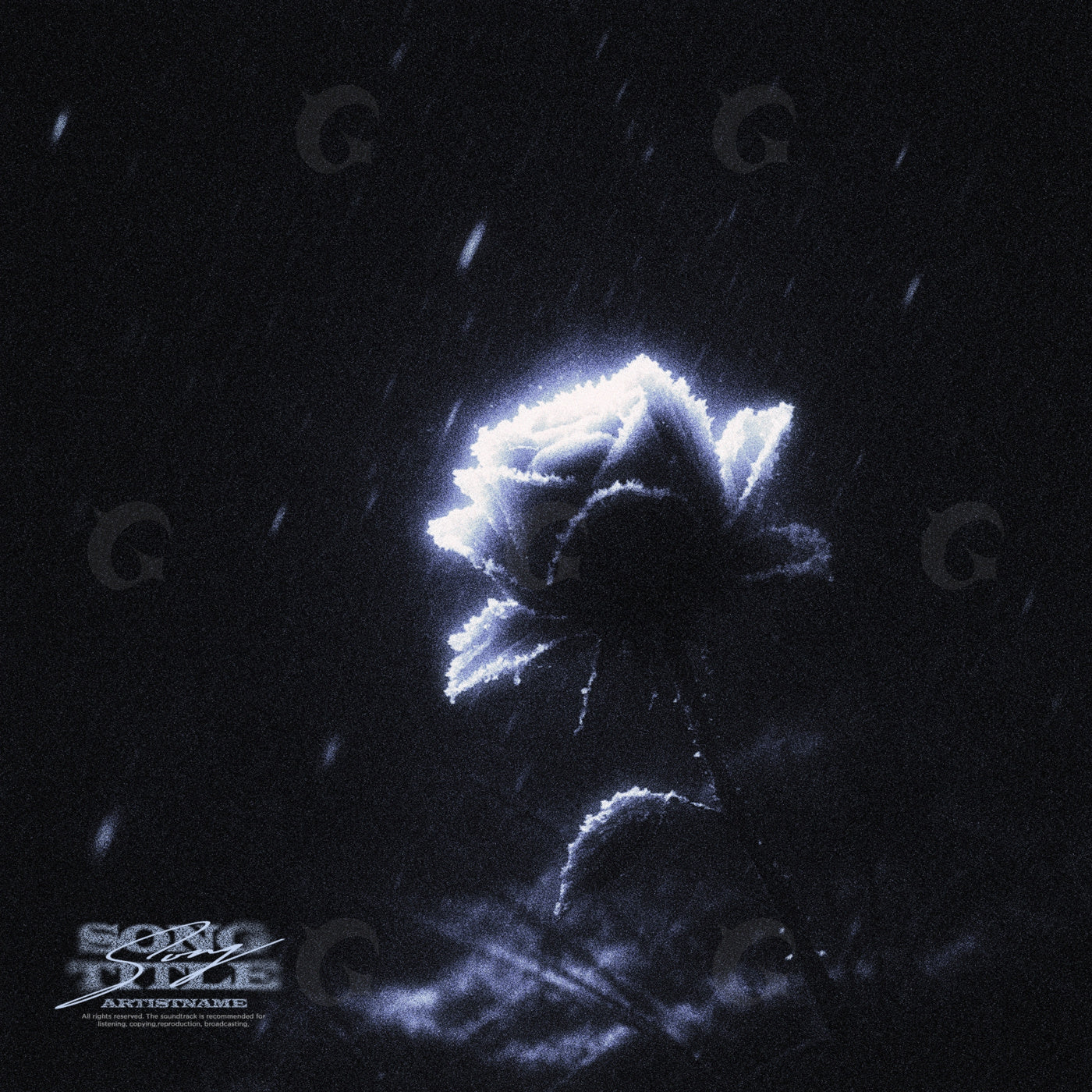 Moonlit frosted rose