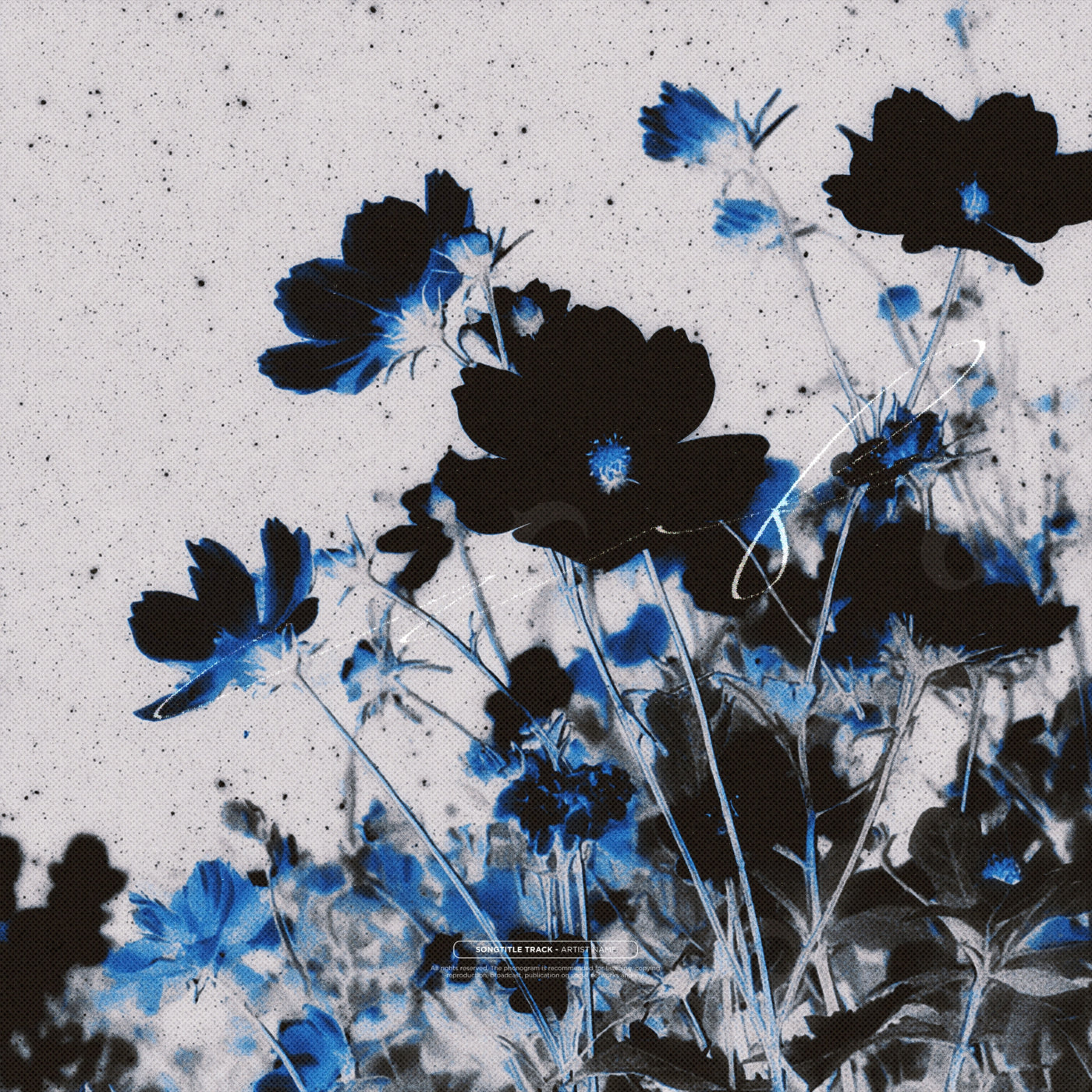 Midnight garden bloom