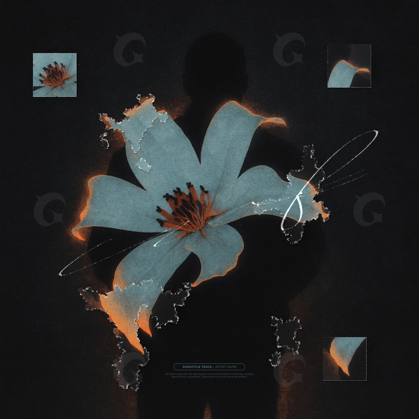 Silhouette with blossom