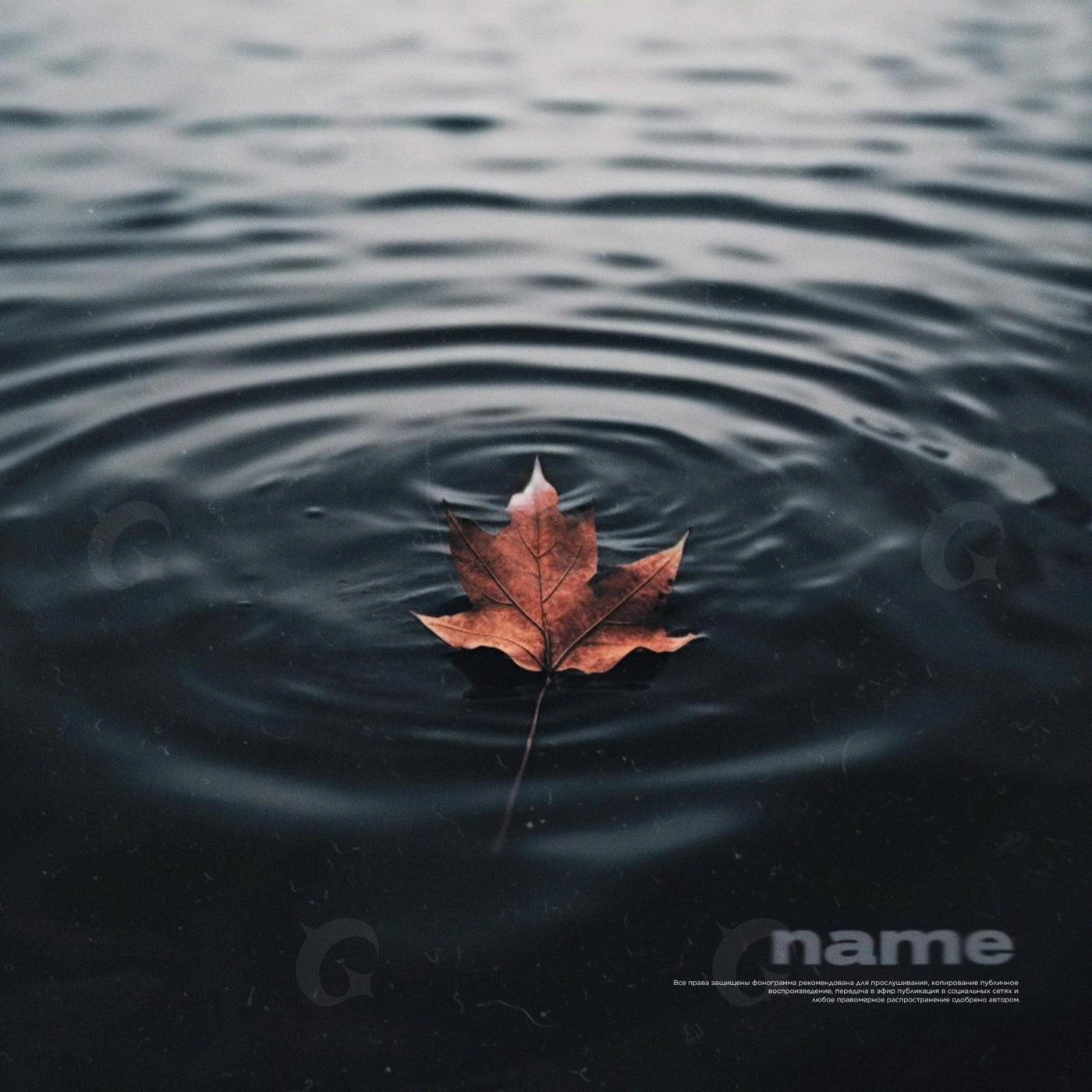 Leaf on ripples