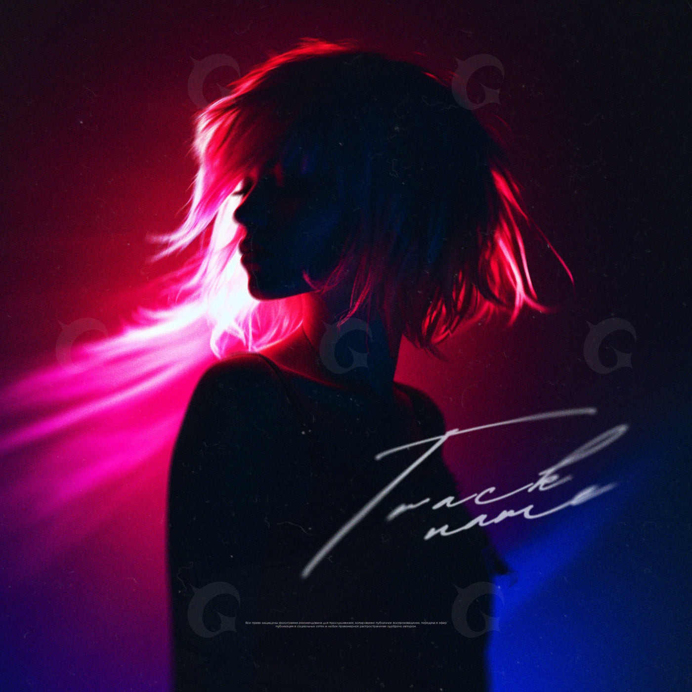 Neon night silhouette