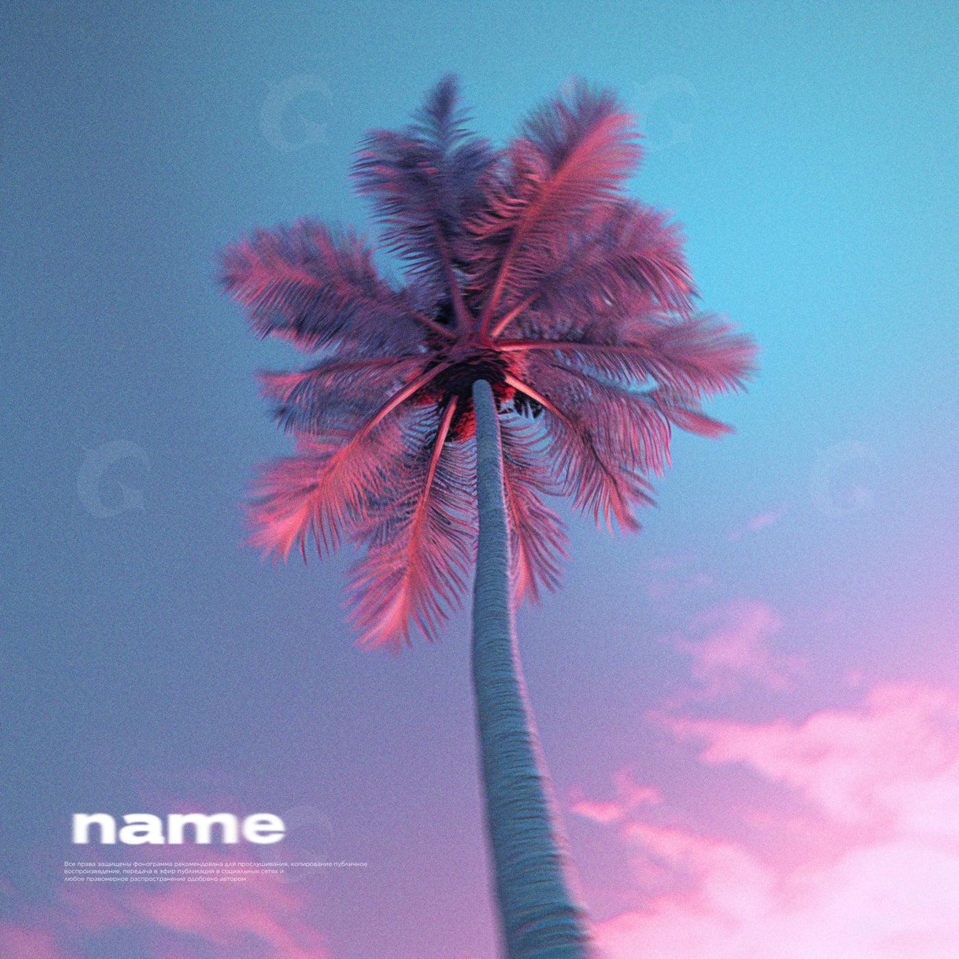 Tall palm sky
