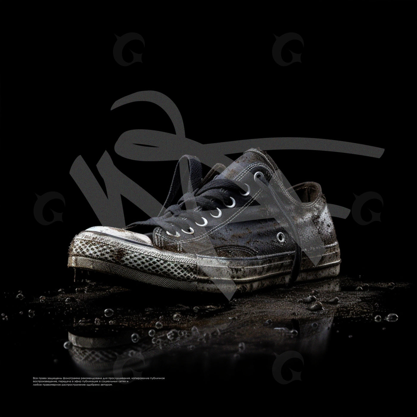 Worn canvas sneaker