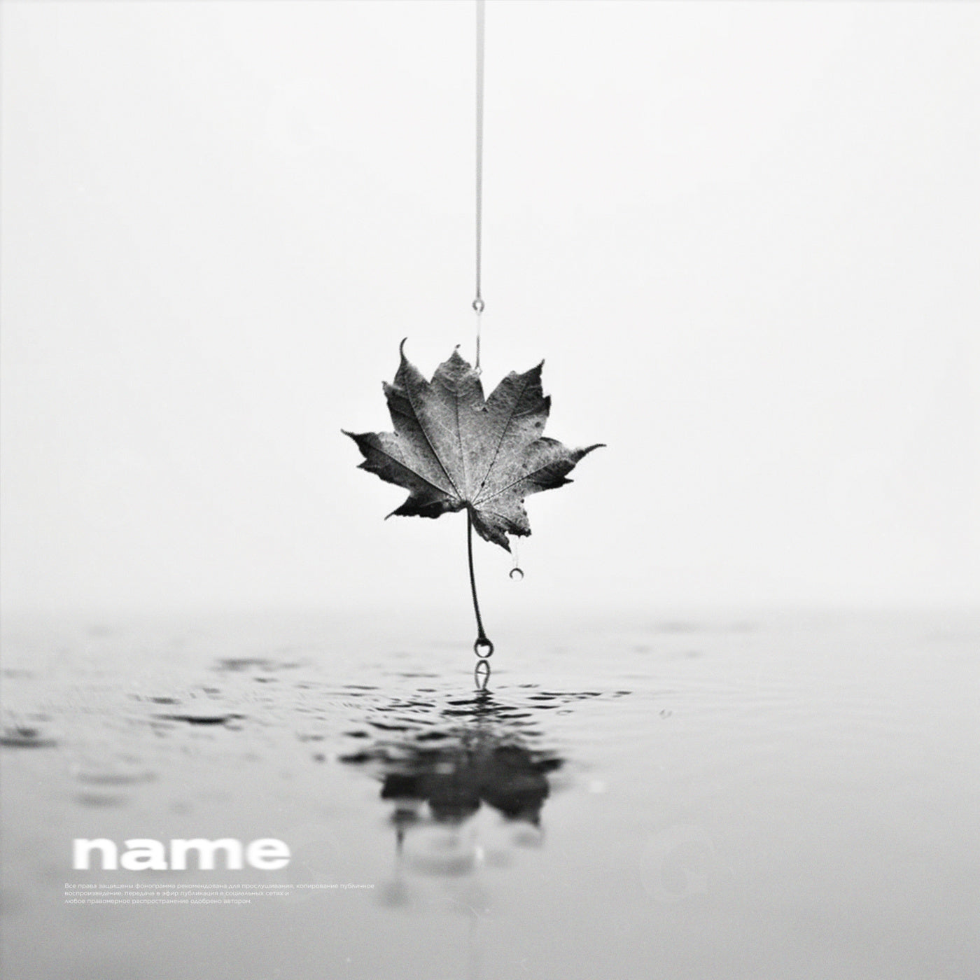 Leaf hanging overwater