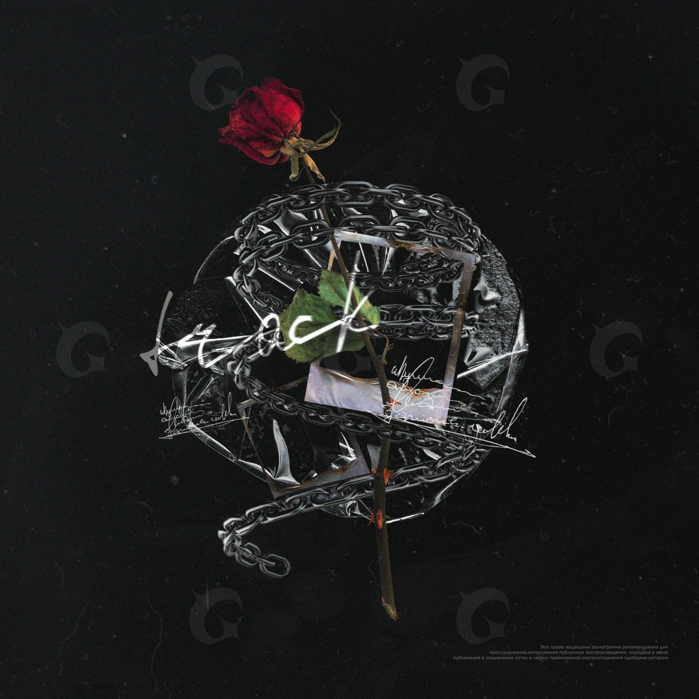 Thorned rose bound