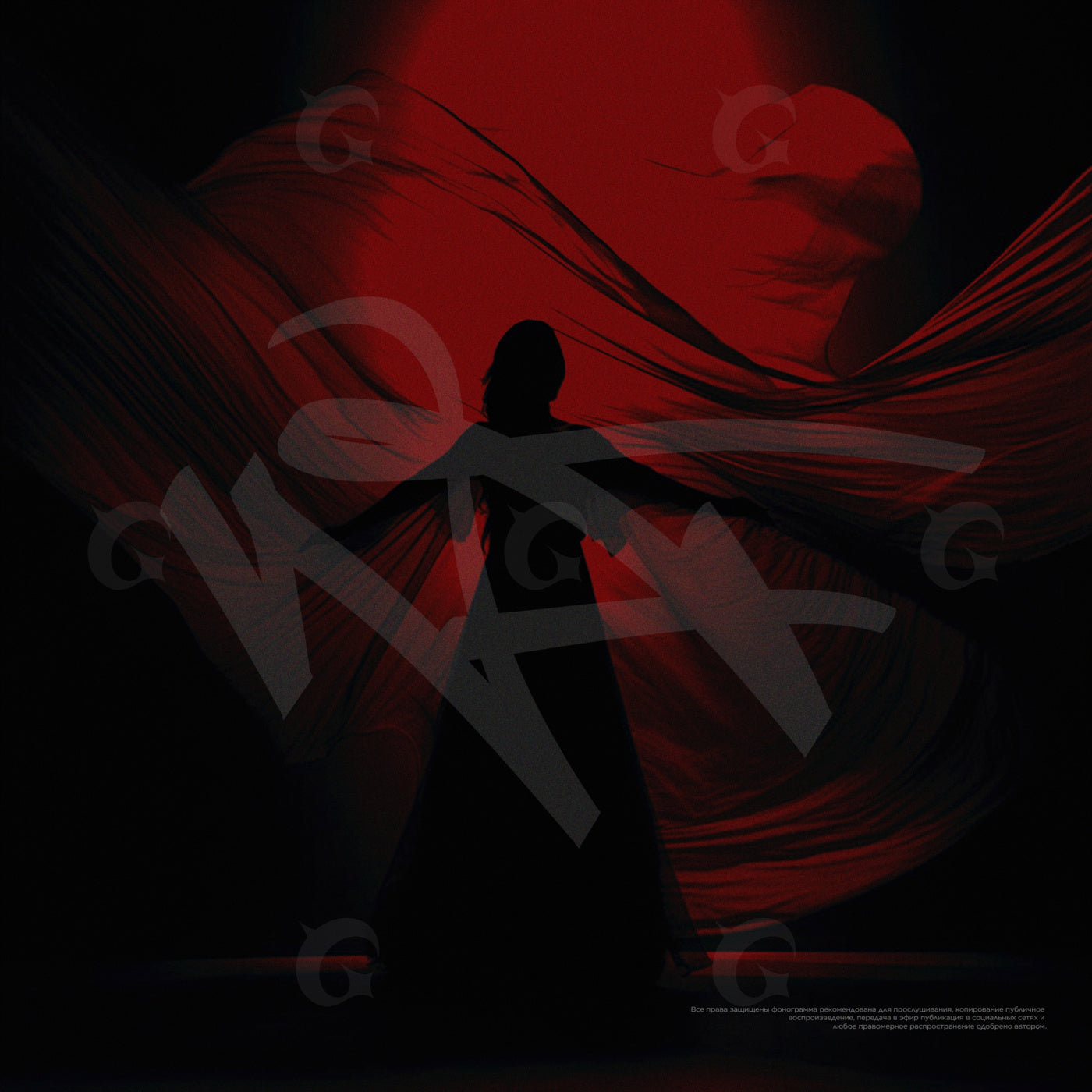 Silhouette with flowing fabric