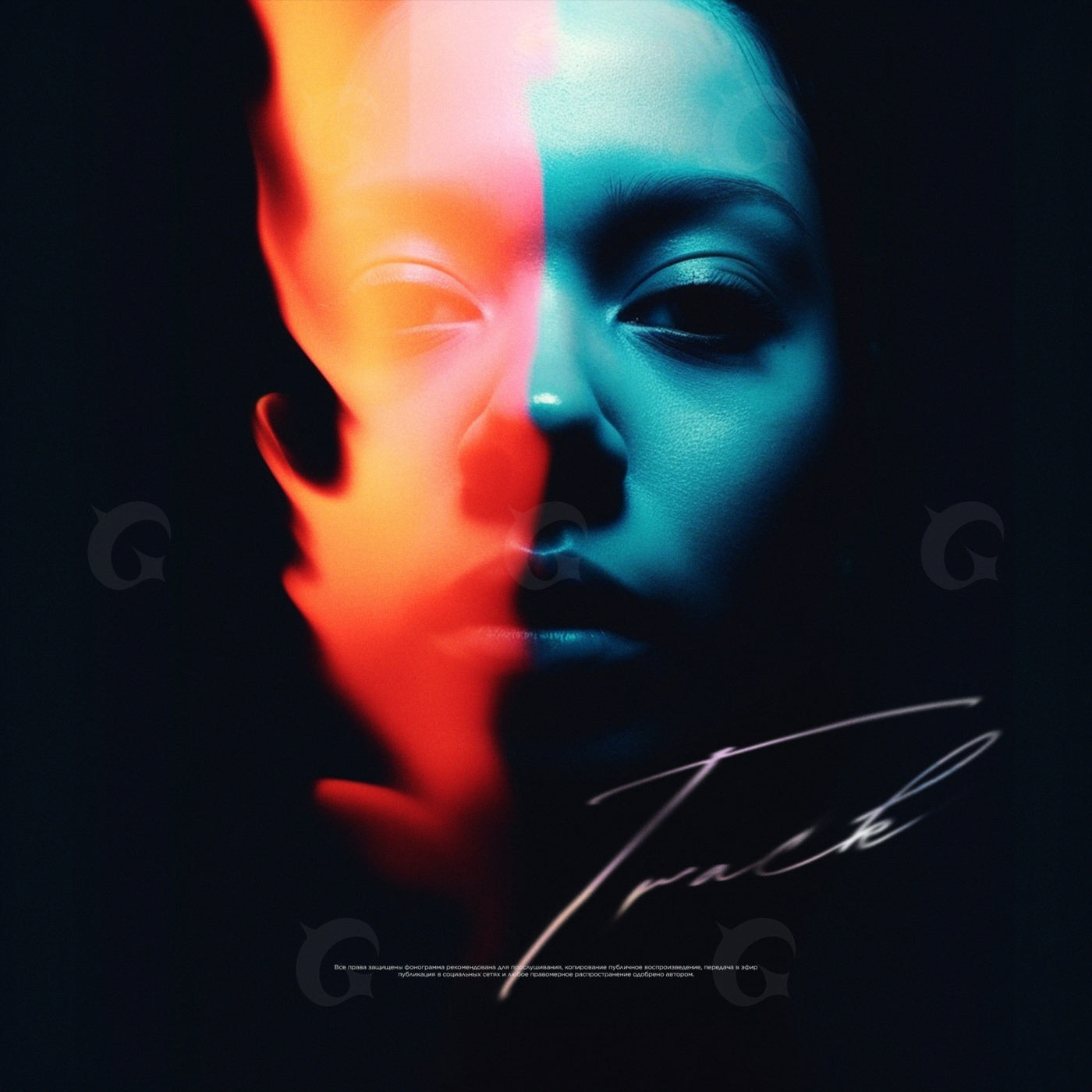Split face portrait