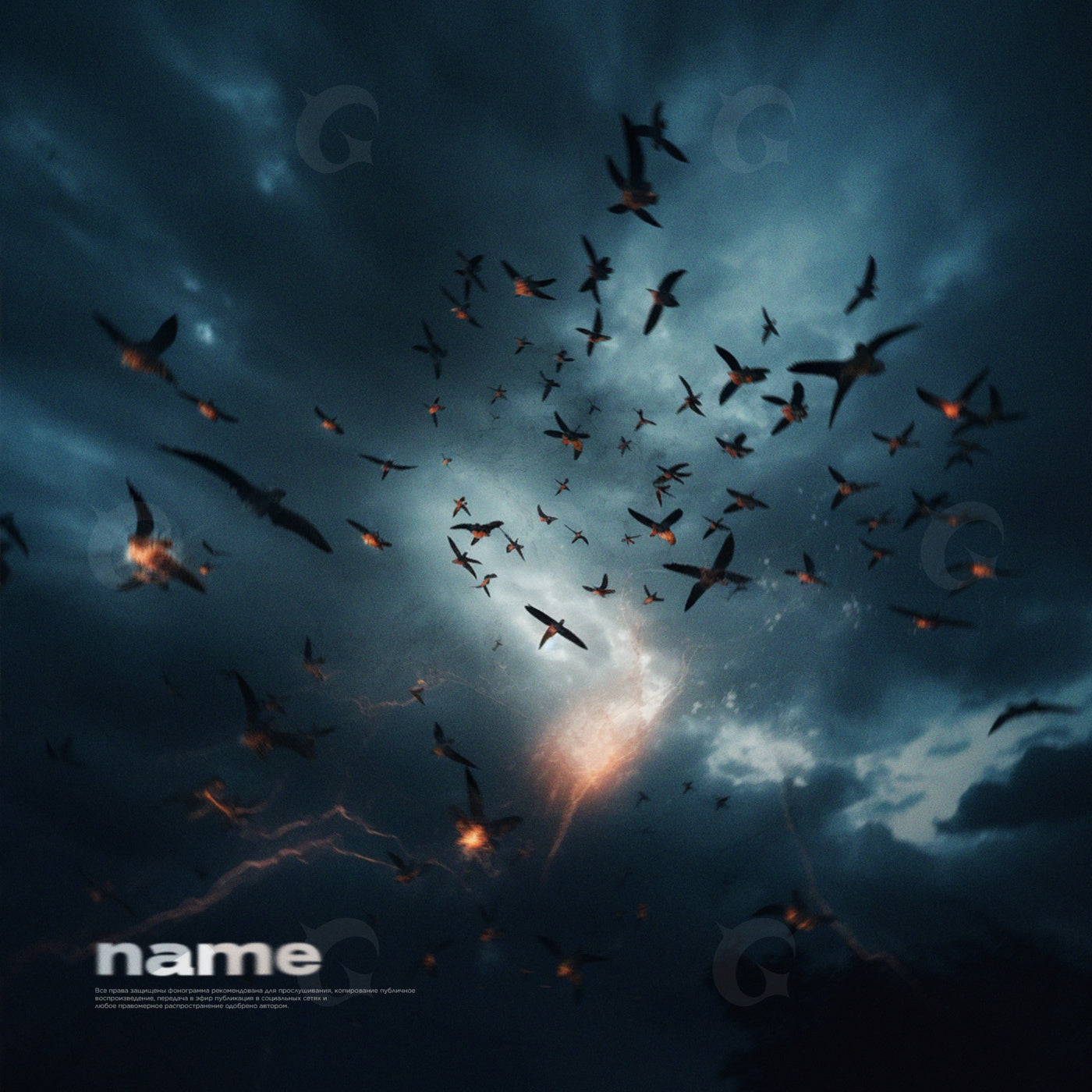 Flock against storm