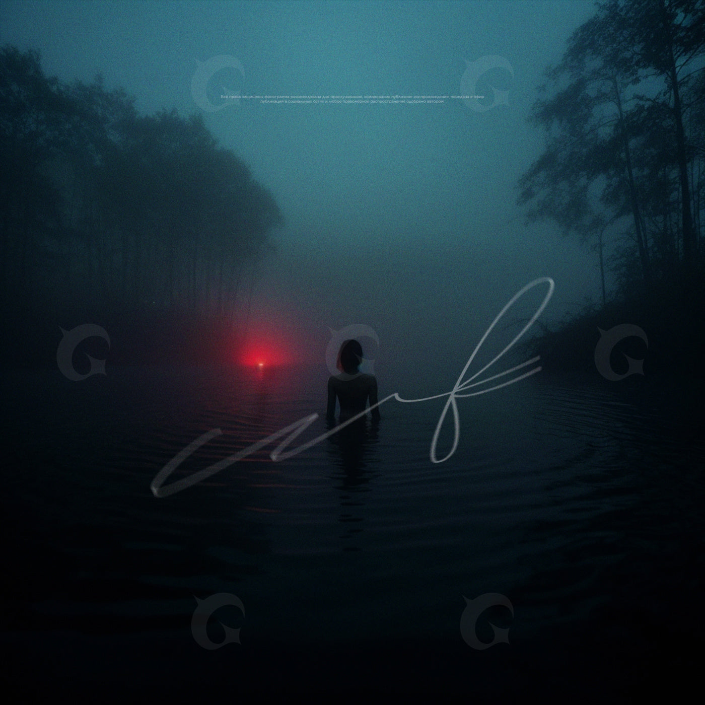 Alone in fog
