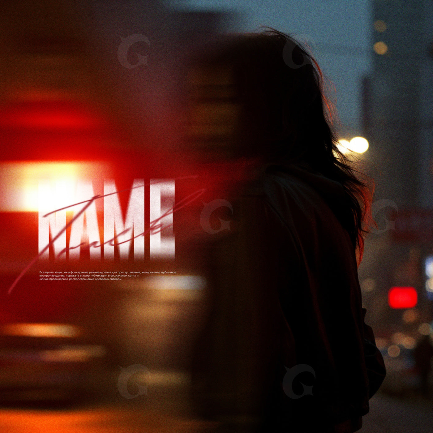 Silhouette against night