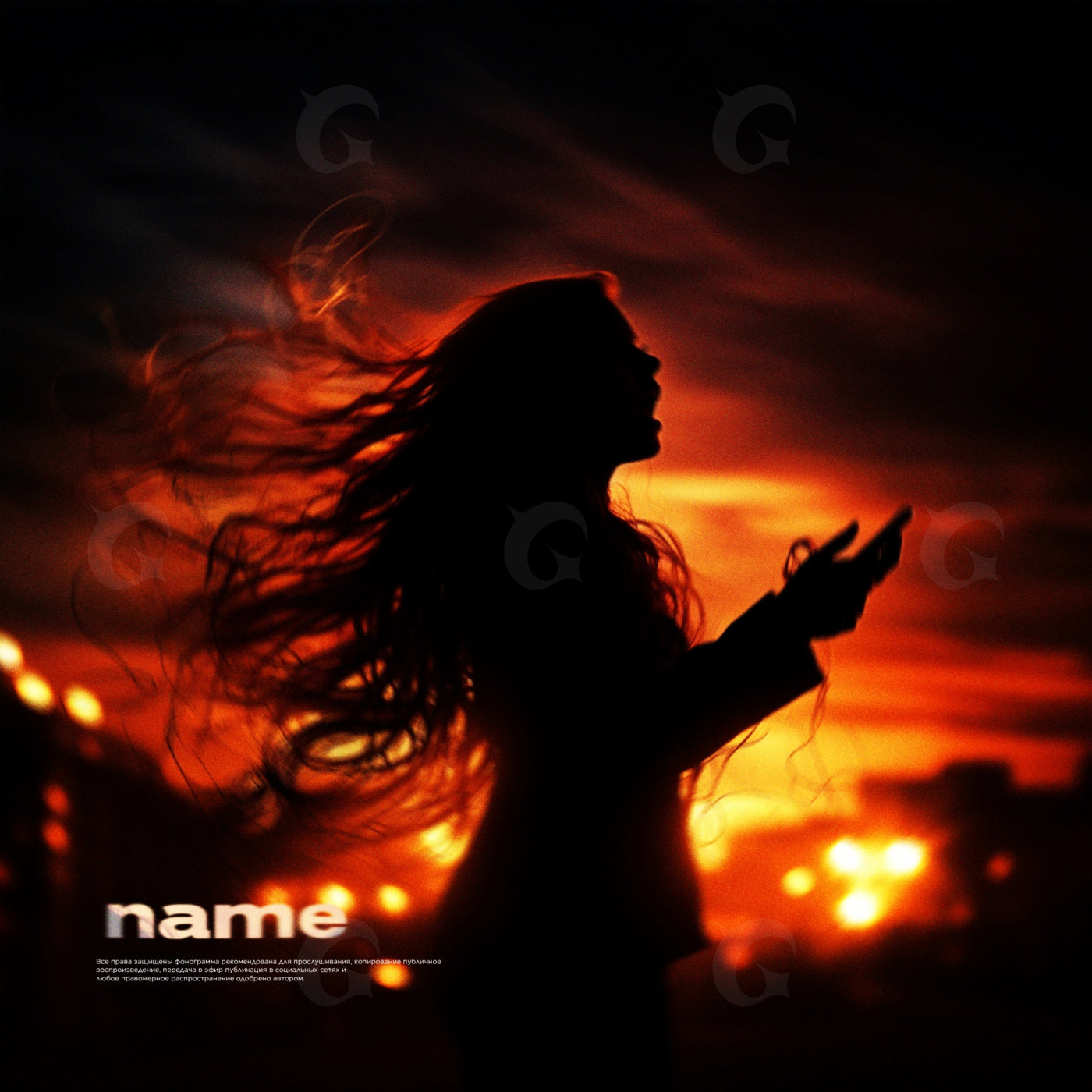 Silhouette against sunset