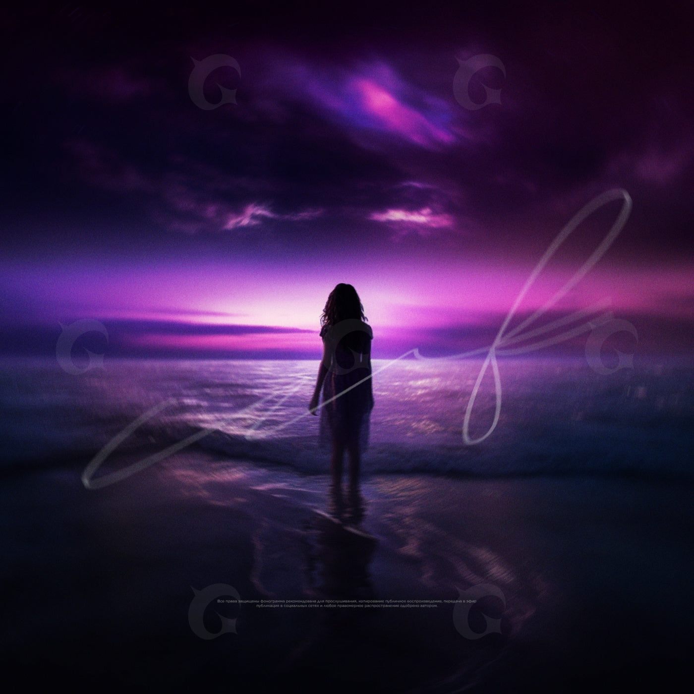 Solitary shoreline gaze