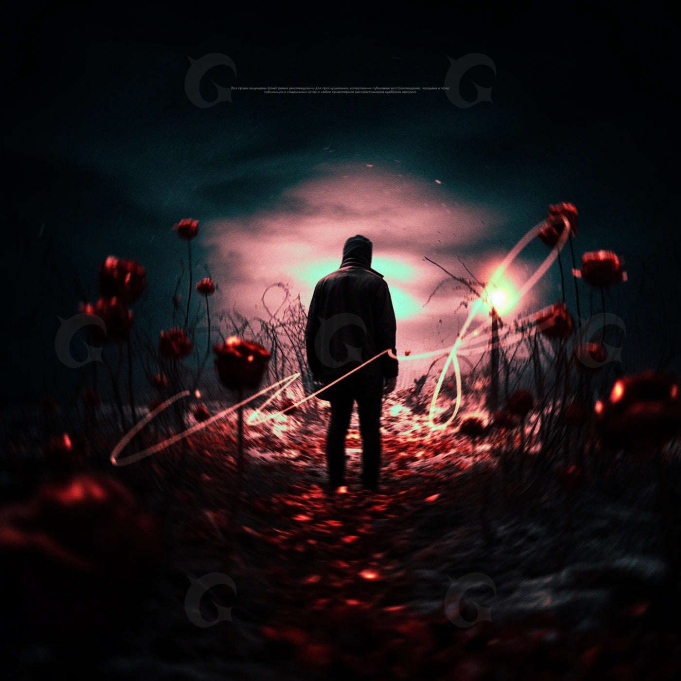 Midnight field walk