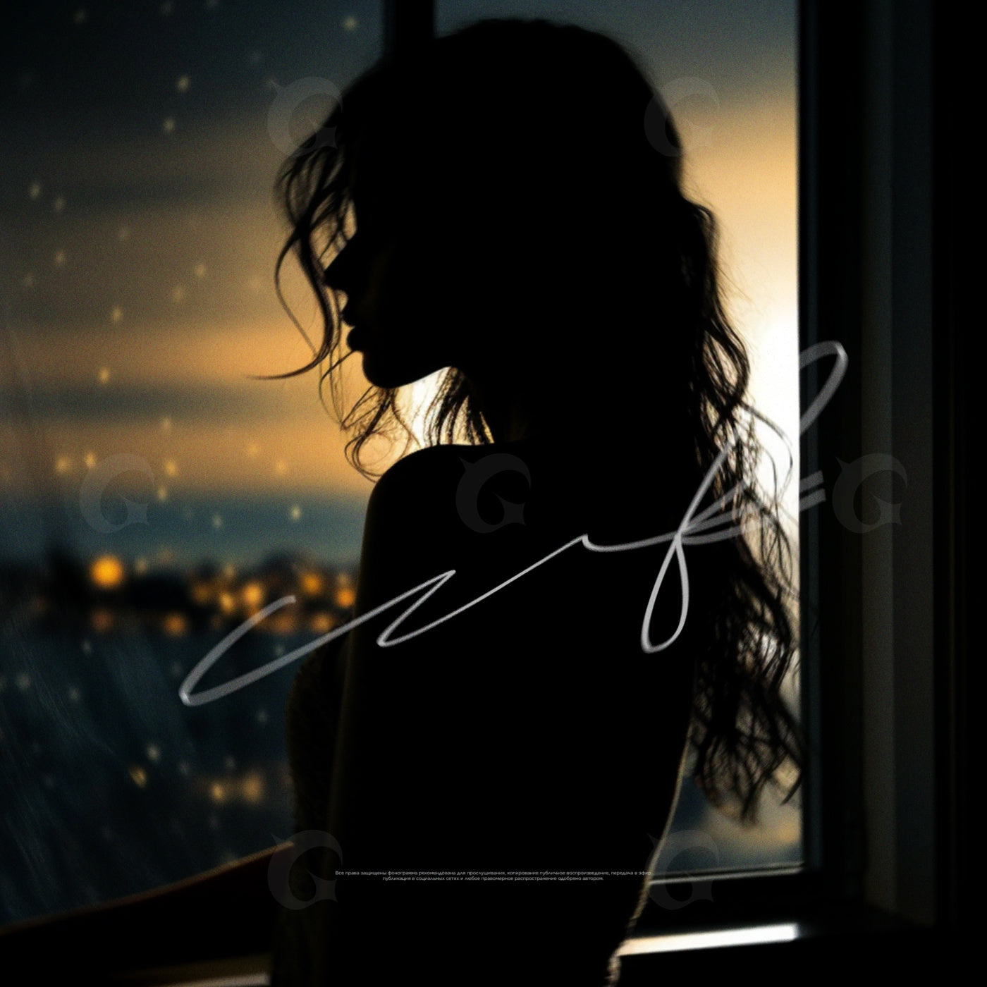 Silhouette by window