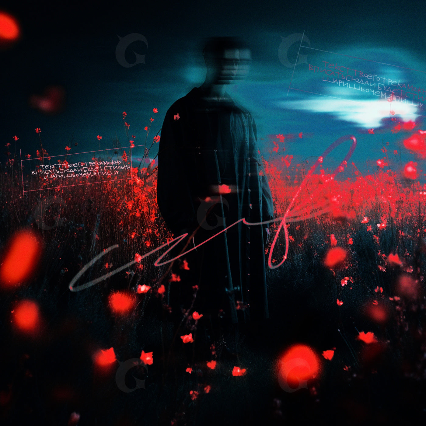 Silhouetted among poppies