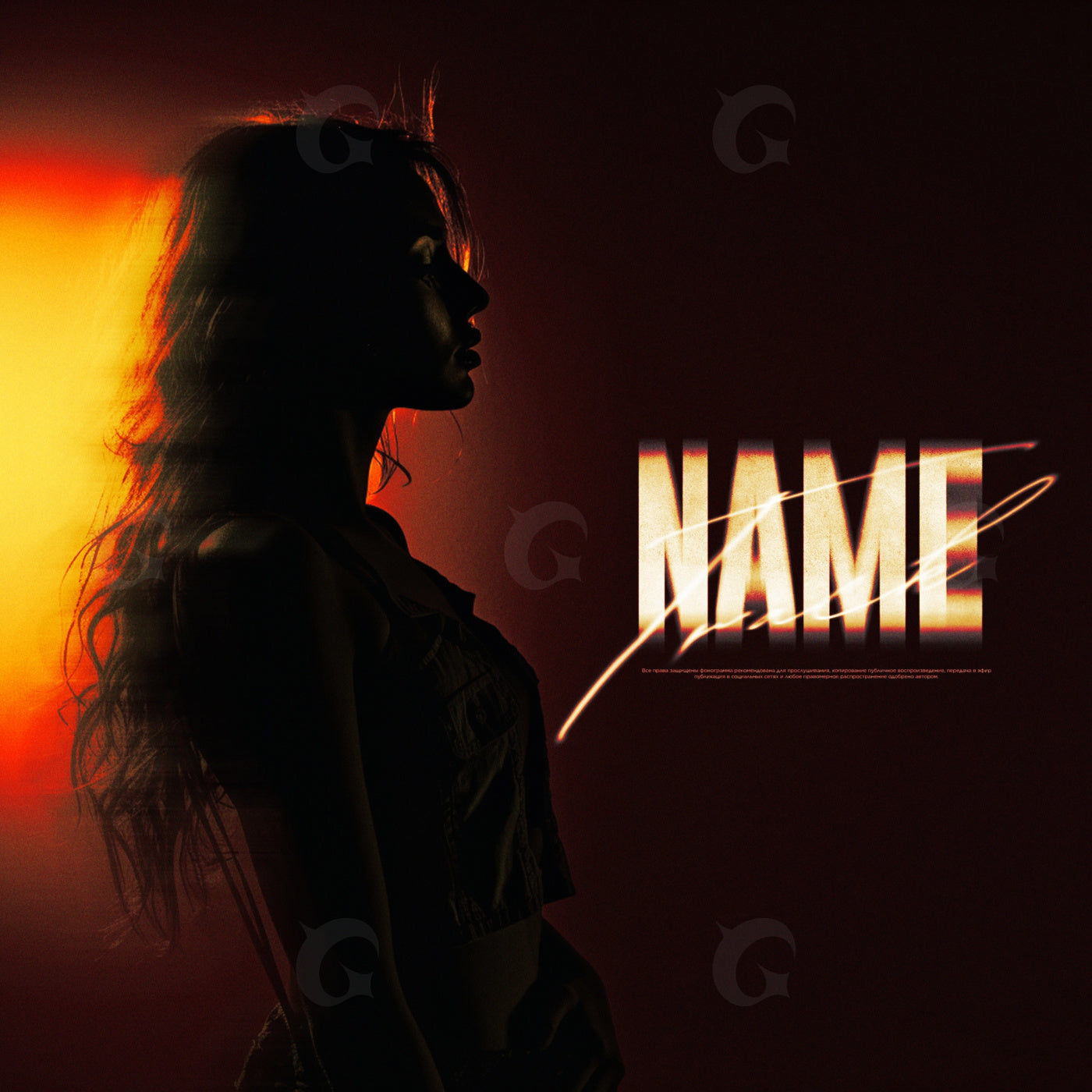 Silhouette against sunset