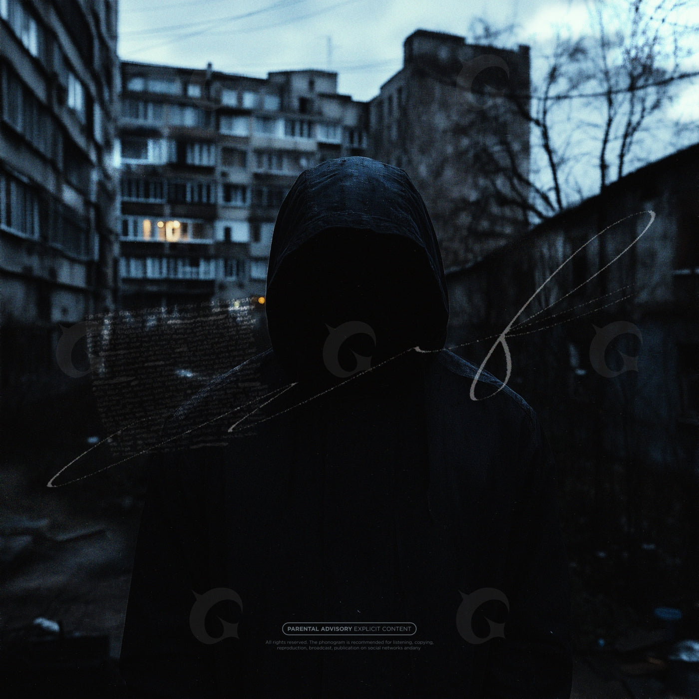 Hooded at dusk