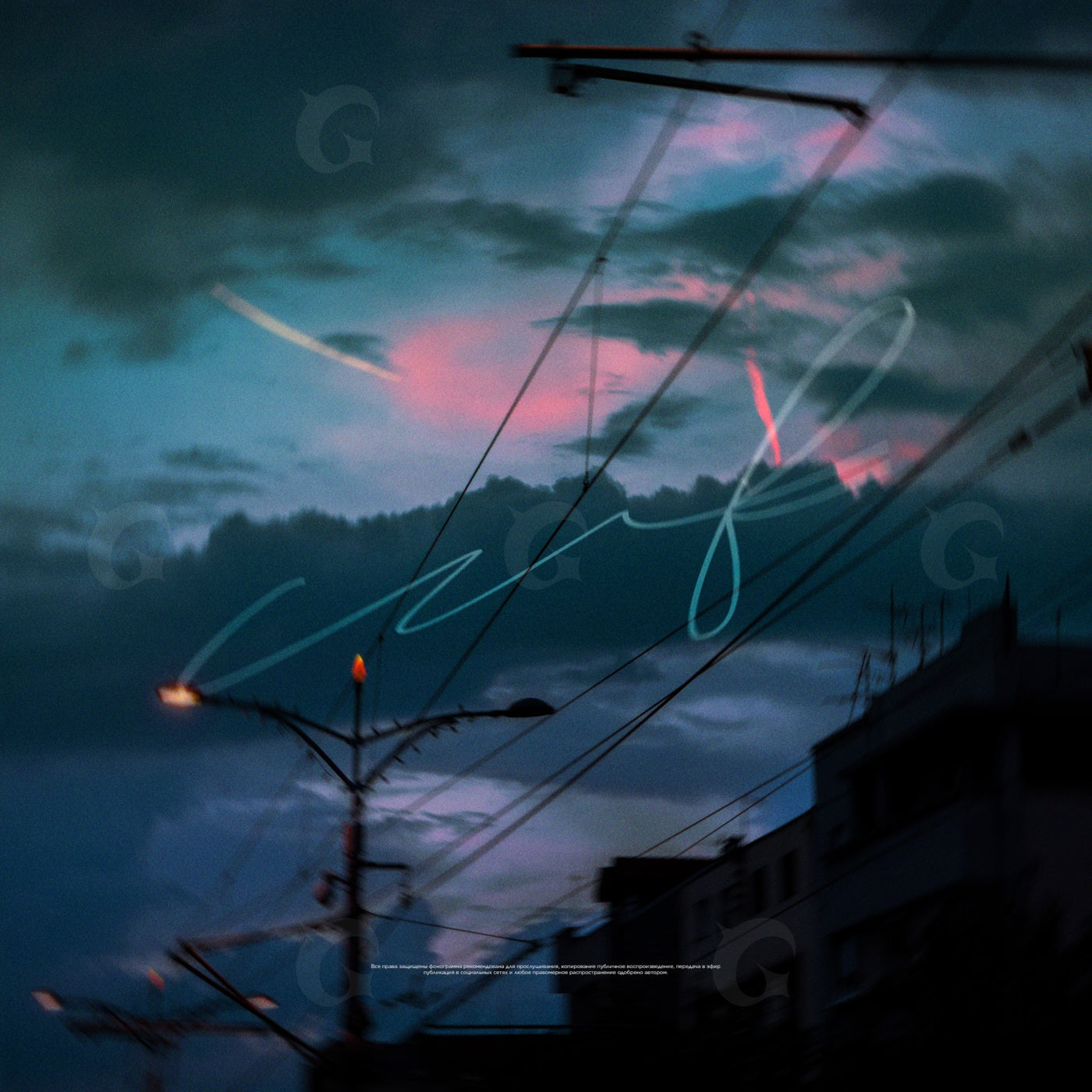 Evening wire silhouettes
