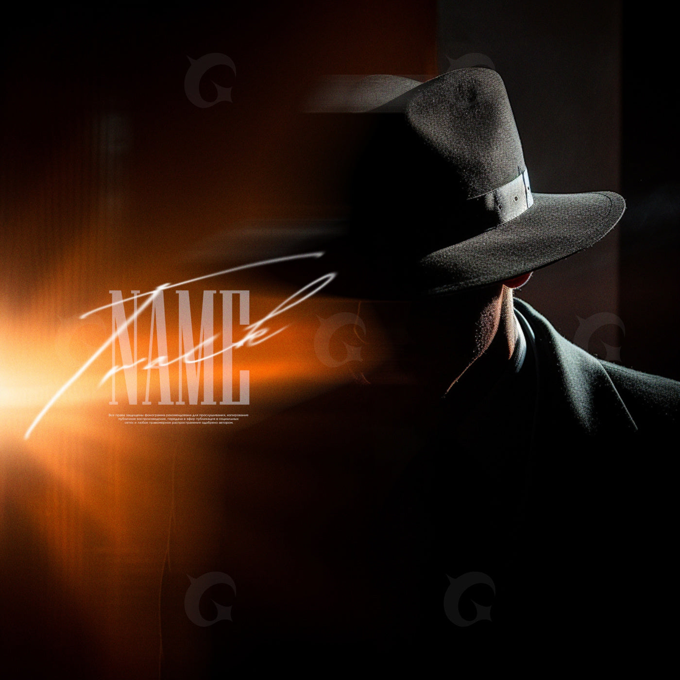 Shadowed fedora stranger
