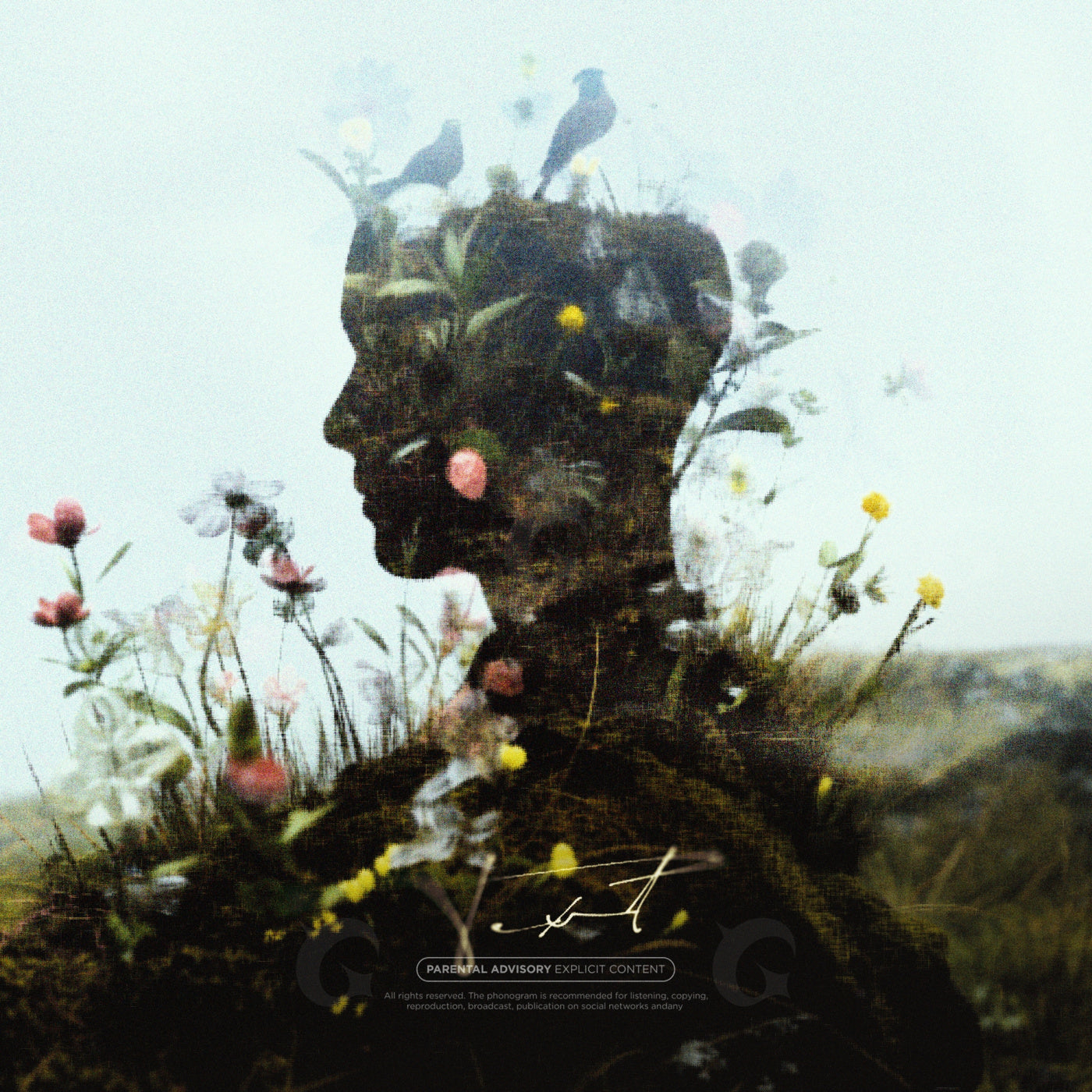 Silhouette filled with blooms