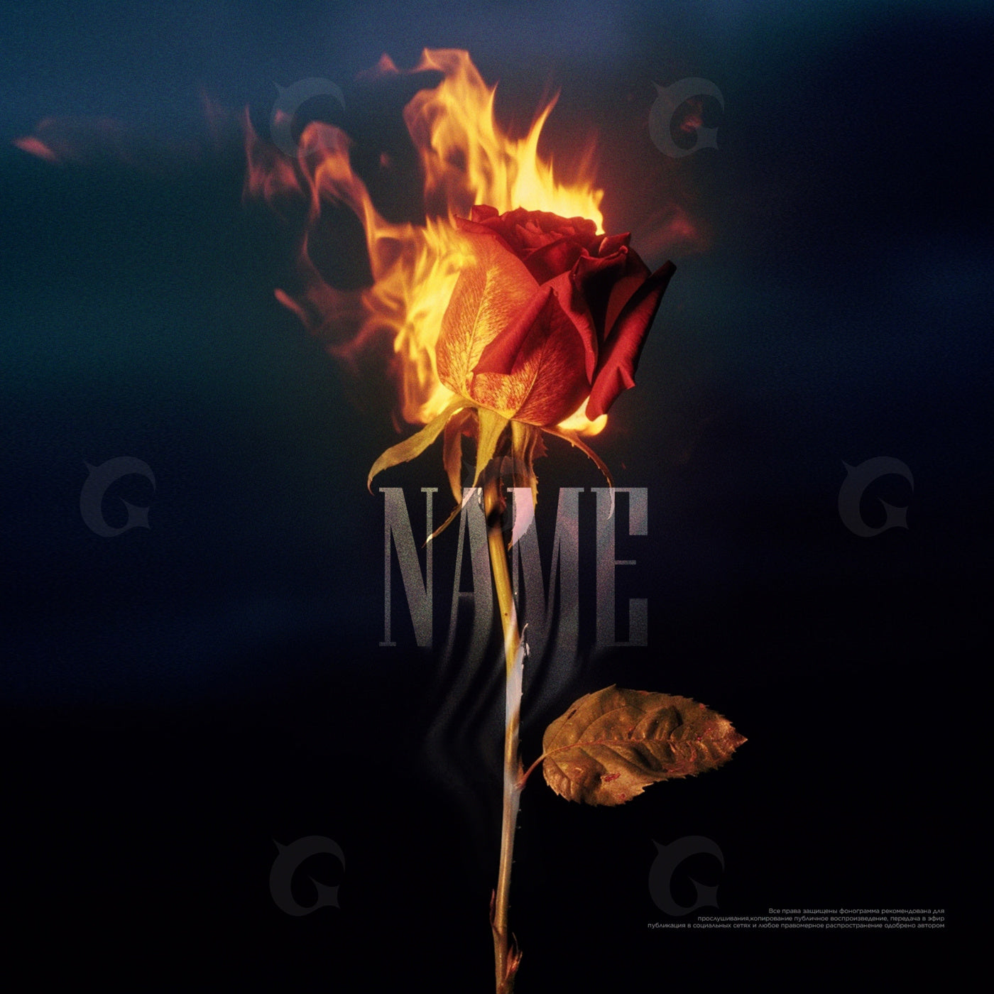 Burning rose flame