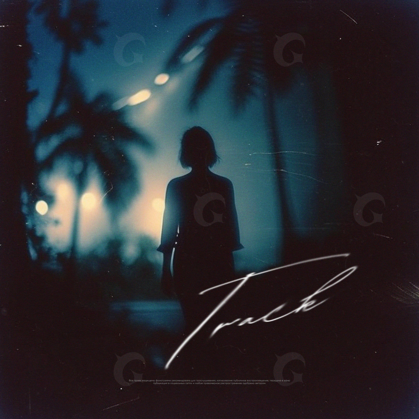 Nighttime palm silhouette